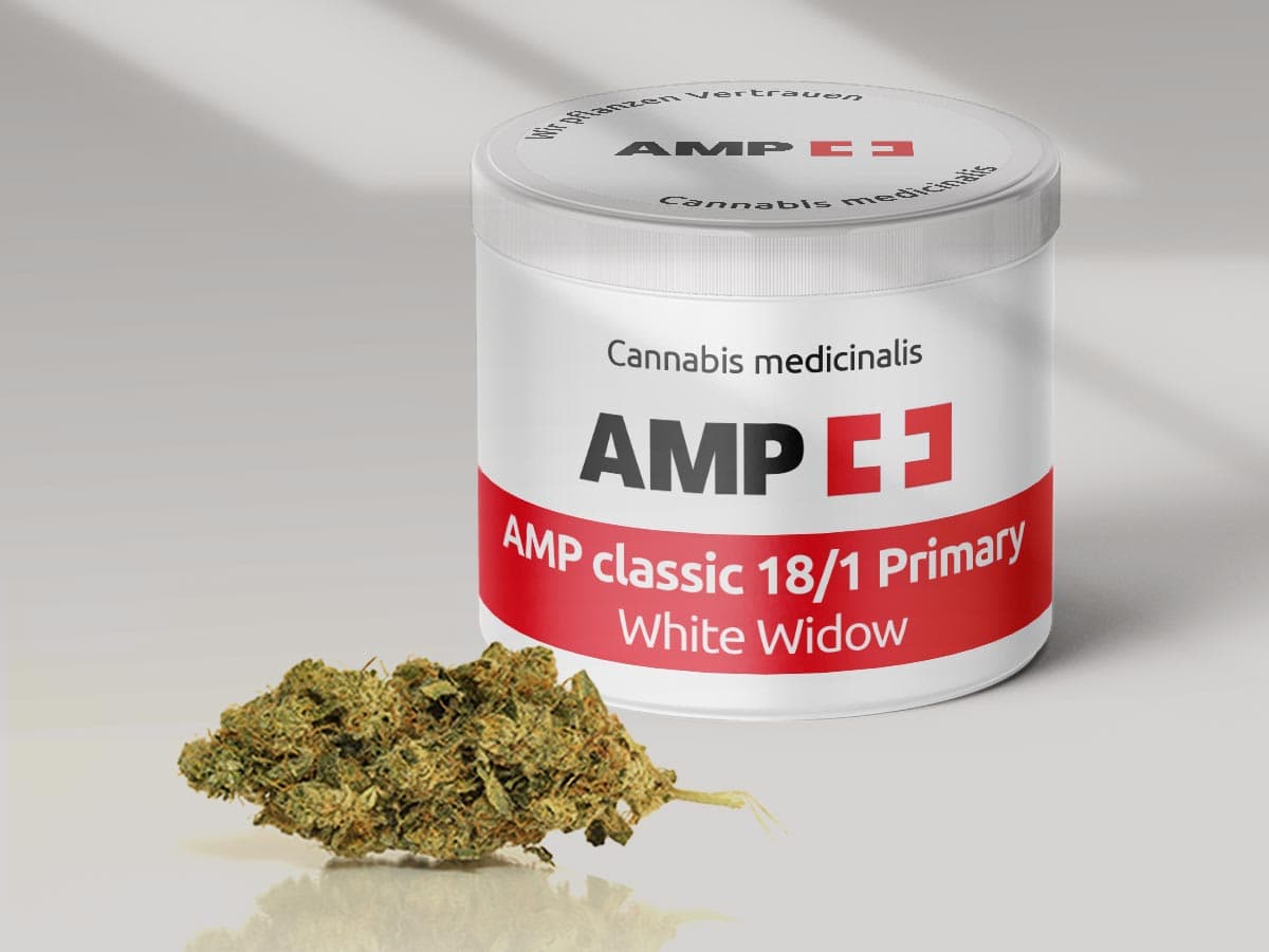 AMP classic 18/1 Primary