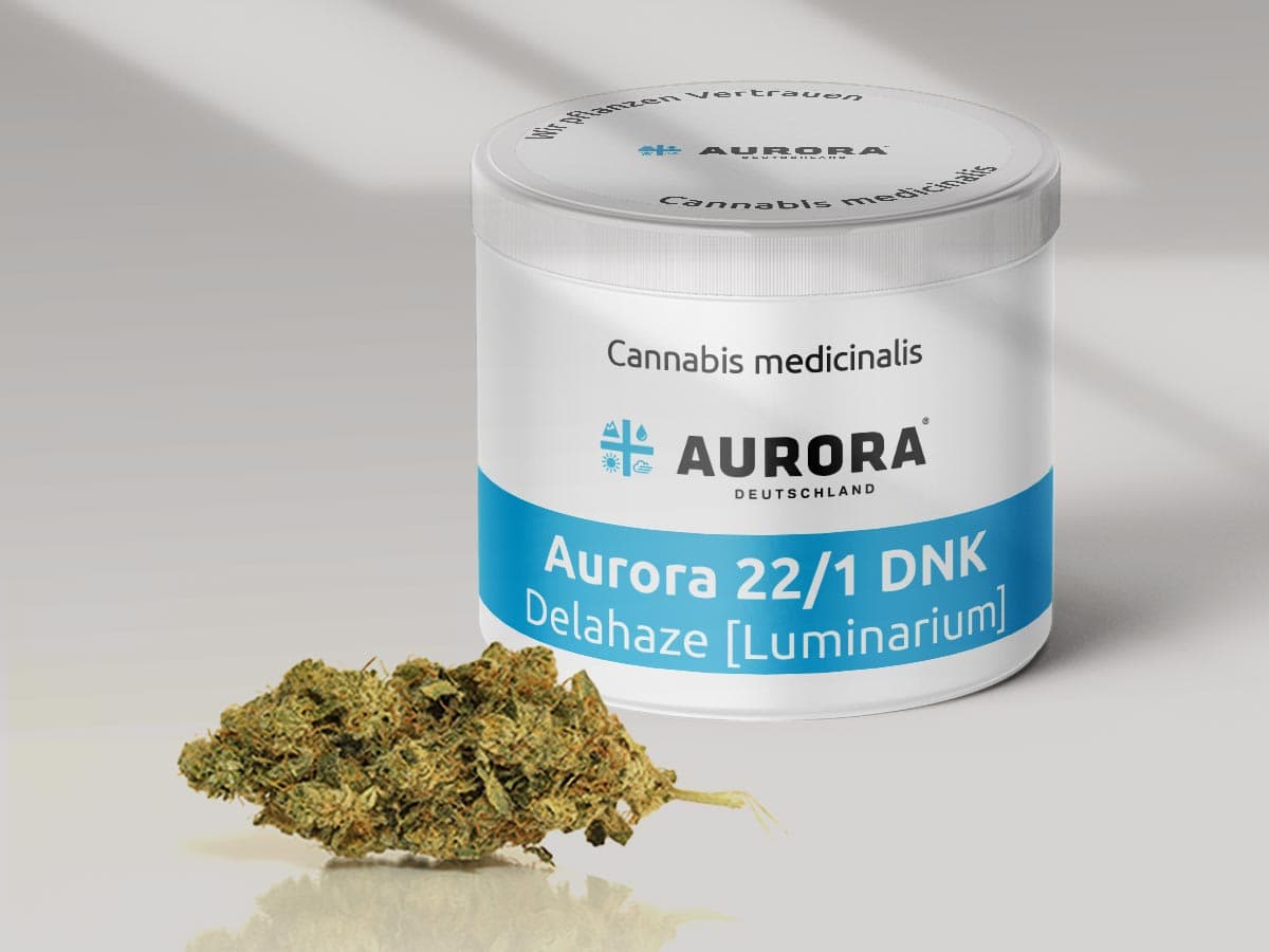 Aurora 22/1 DNK