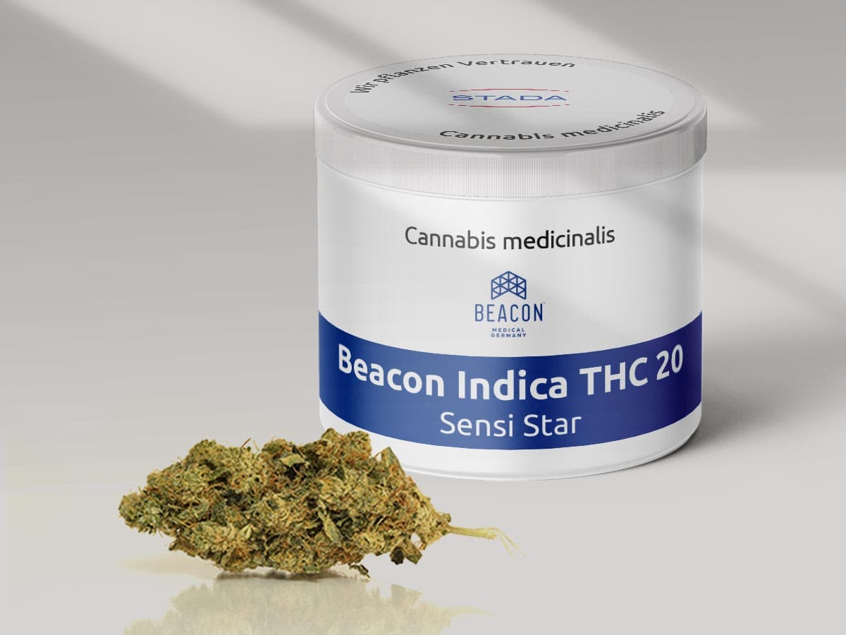 Beacon Indica THC18