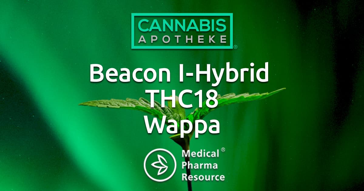 Beacon I-Hybrid THC 18