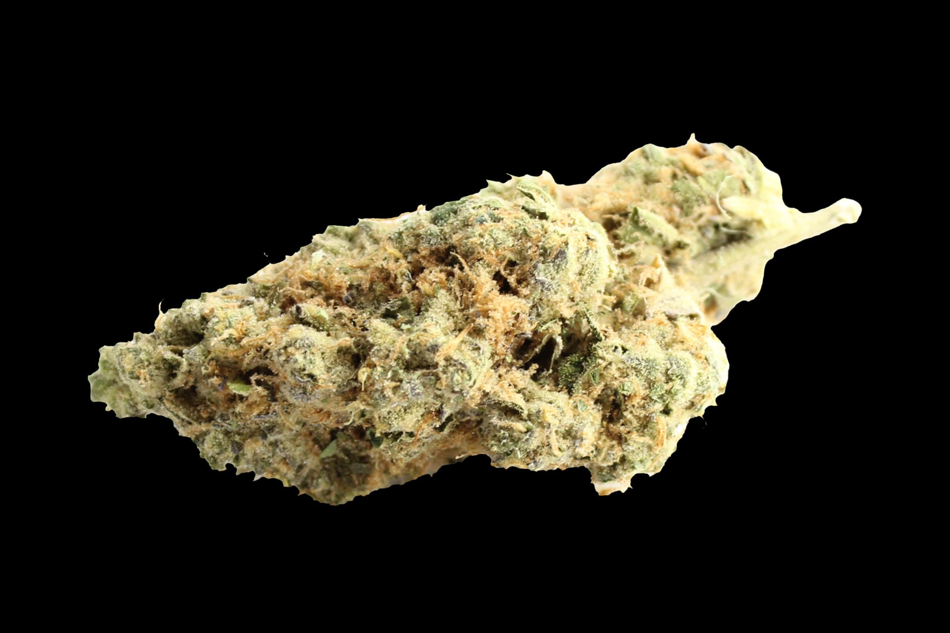 Remexian 30/1 CHE: Chem Cookies