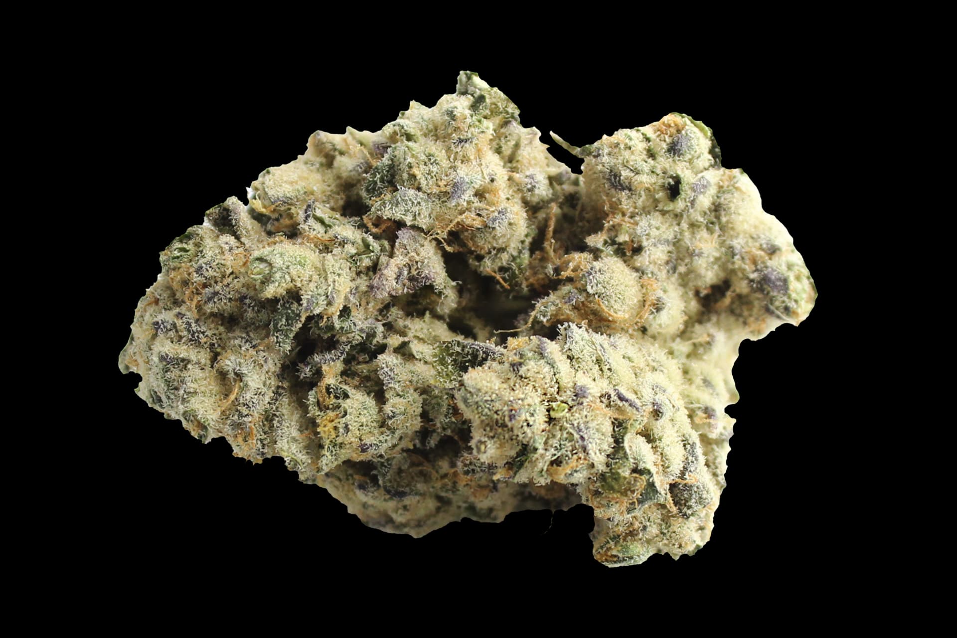 Remexian 30/1 MTL WCK: Wes´ Coast Kush