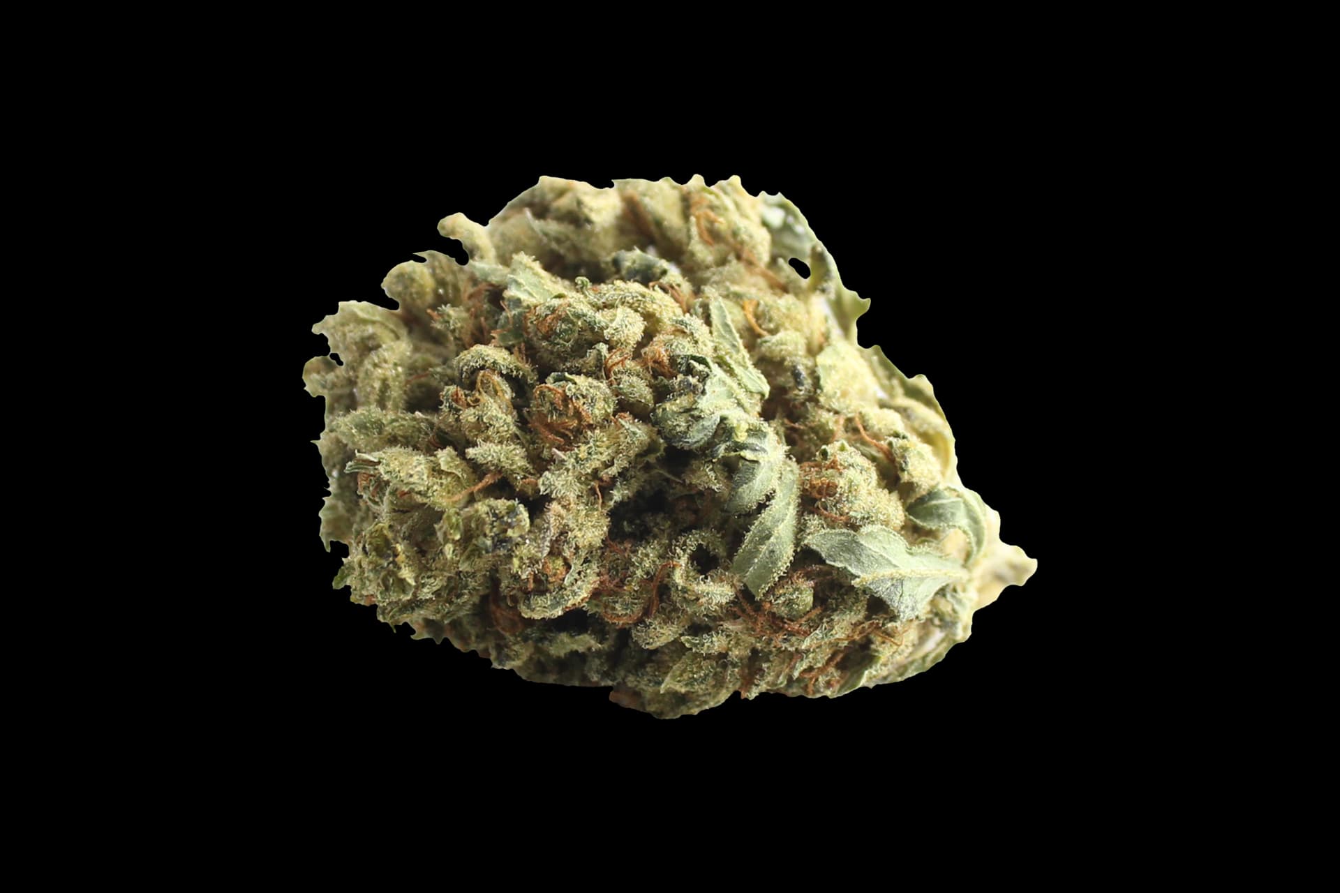 Tilray THC 9 : CBD 9: Warlock