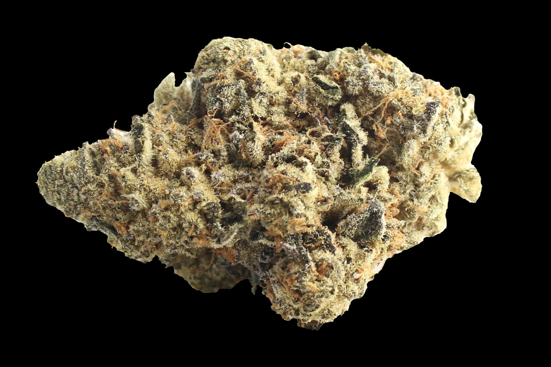 Cannamedical Indica Forte: El Jefe