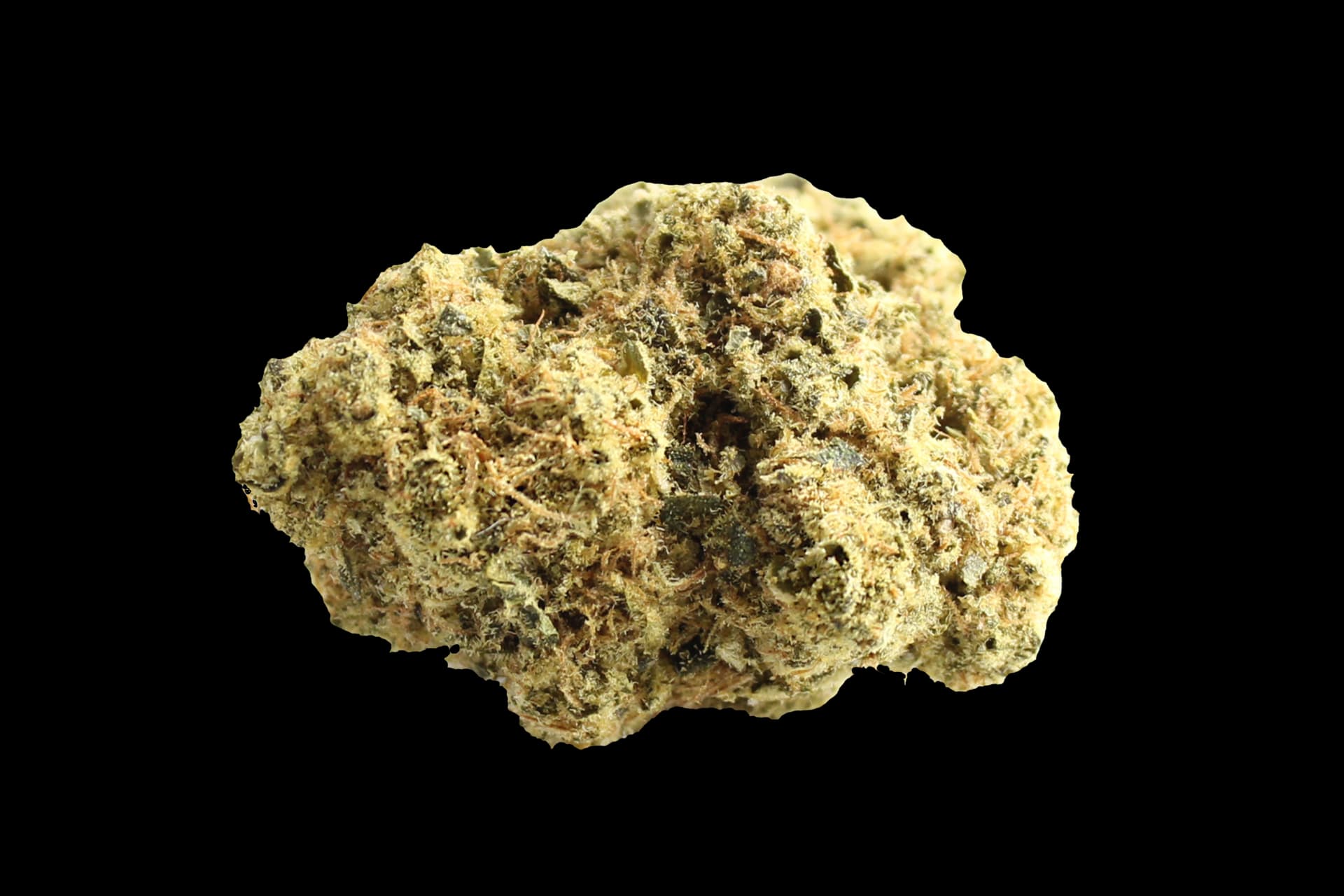 Avaay 27/1 DiD: Do-Si-Dos