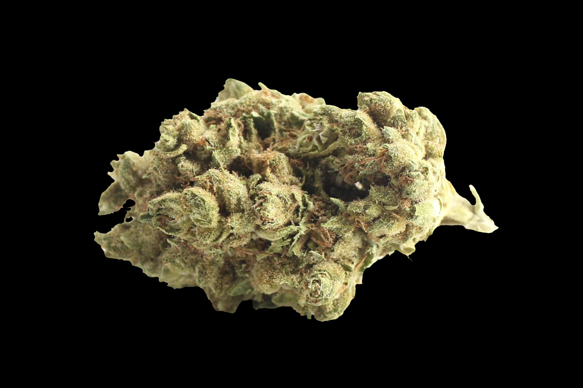 Remexian 24/1 LET: Lemon Thrill