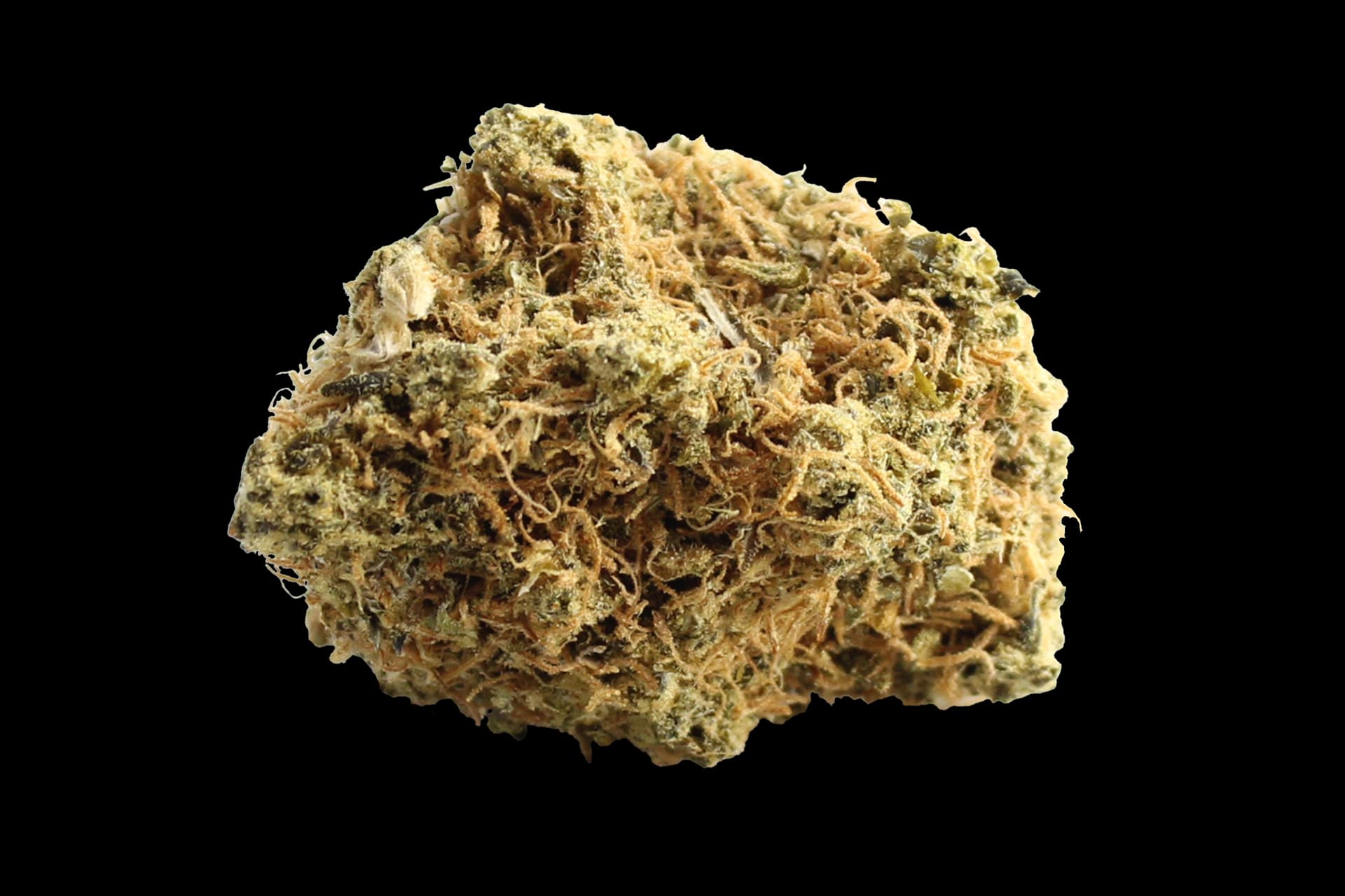 Avaay 24/1 SK: Sour OG Kush