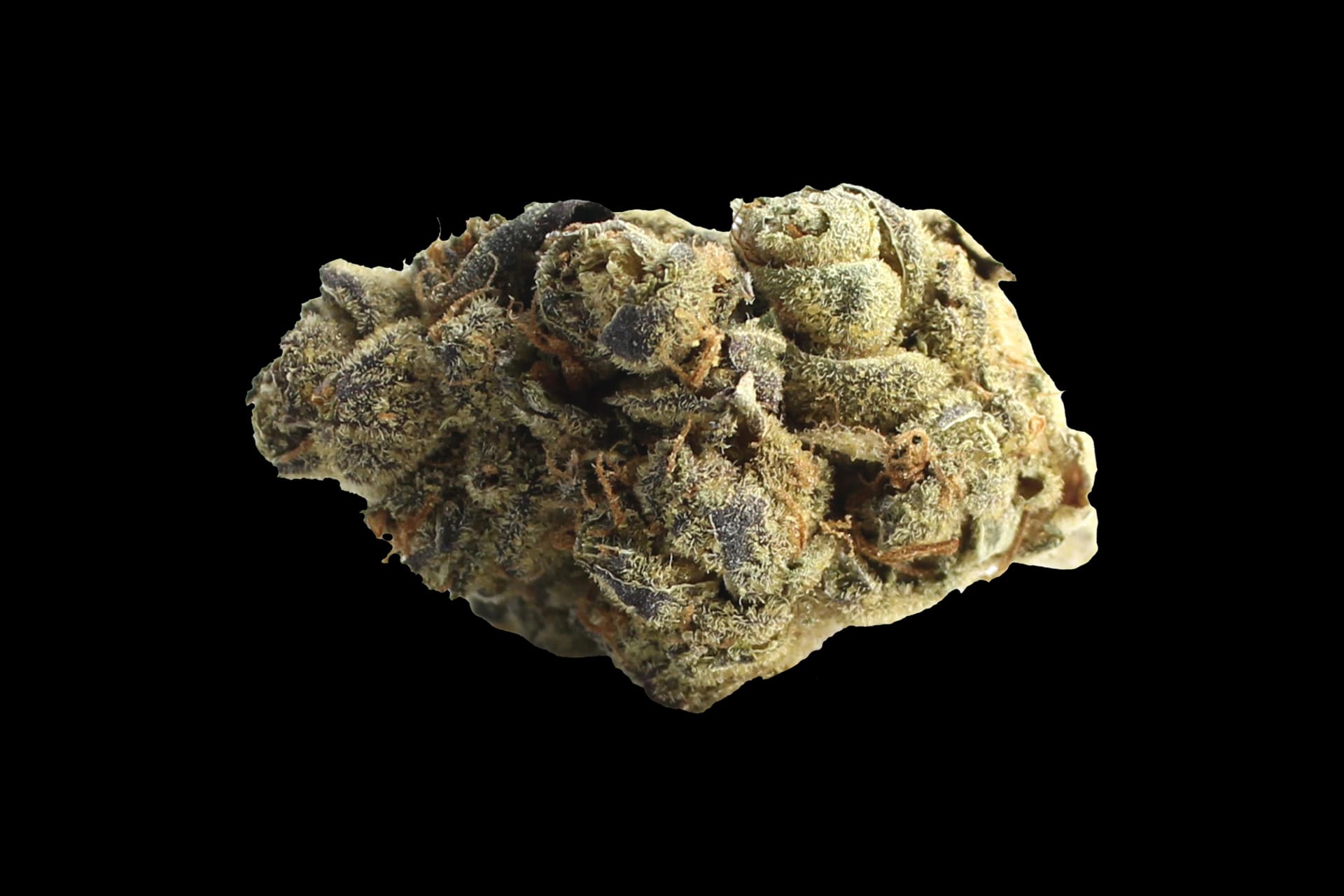 canymed BC 24/1: Pollux Green Pump