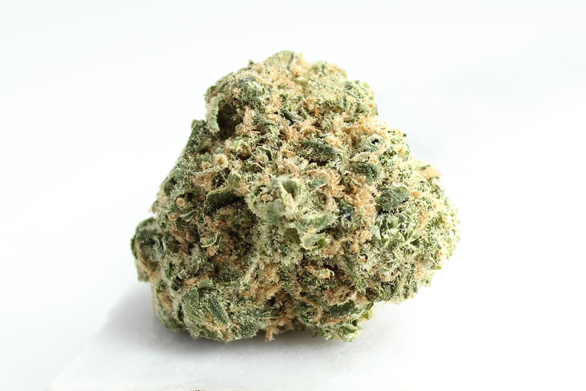 Avaay 27/1 SCG: Super Citra G.