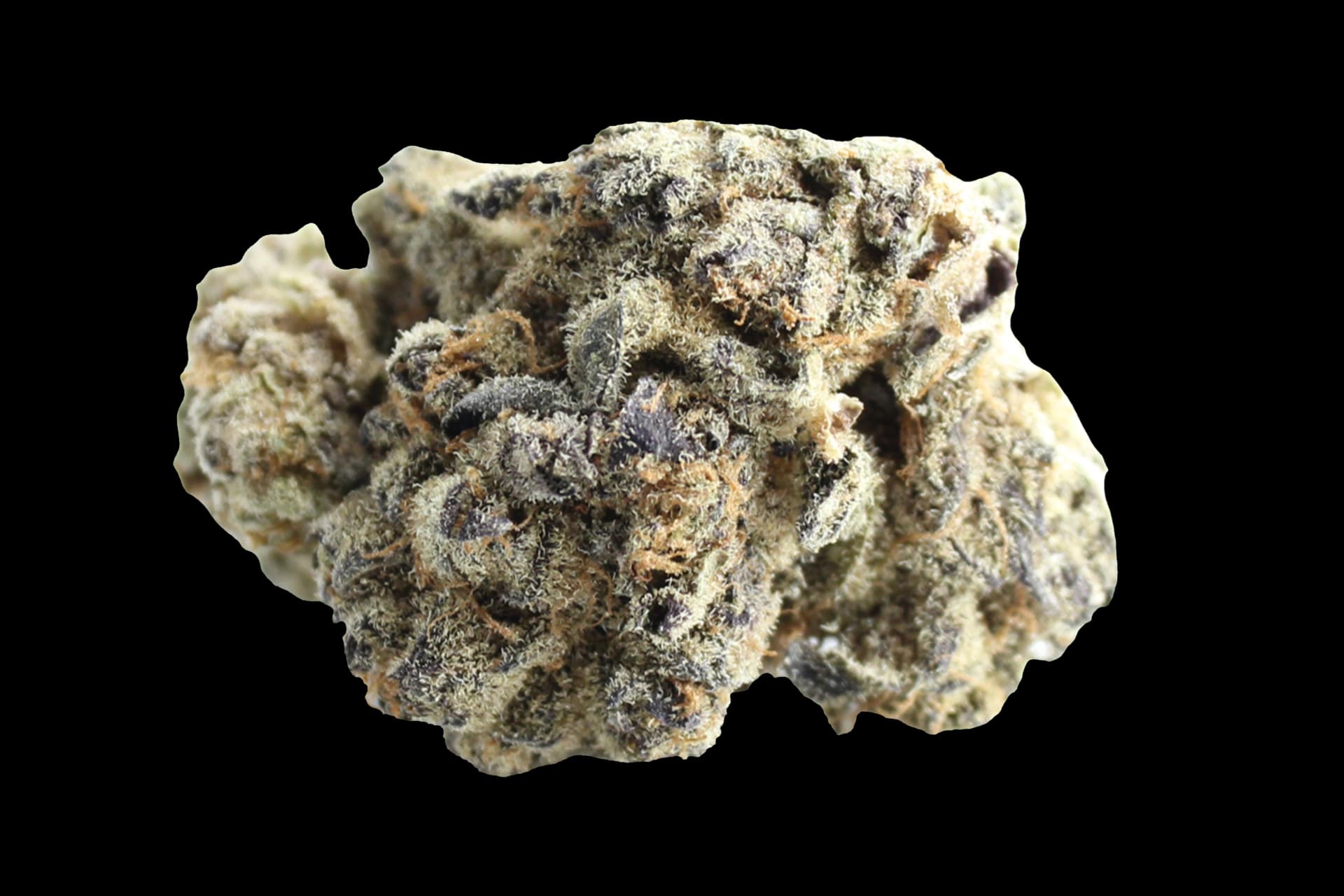 Grünhorn SCK 25/1: Scotti´s Cake