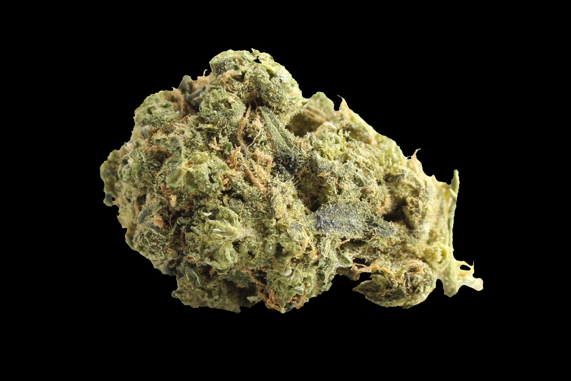 Zoiks 26/1 LK: OG Lime Kush