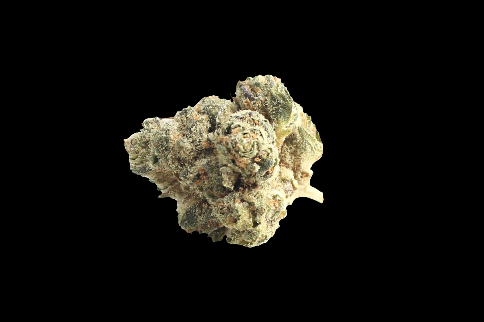 enua 22/1 JFG CA: Jet Fuel Gelato