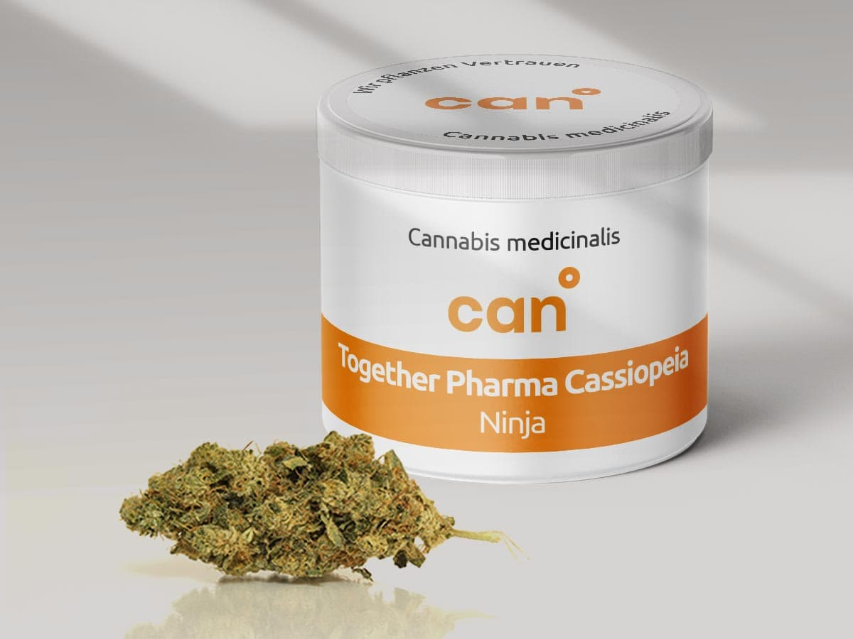 Together Pharma Cassiopeia