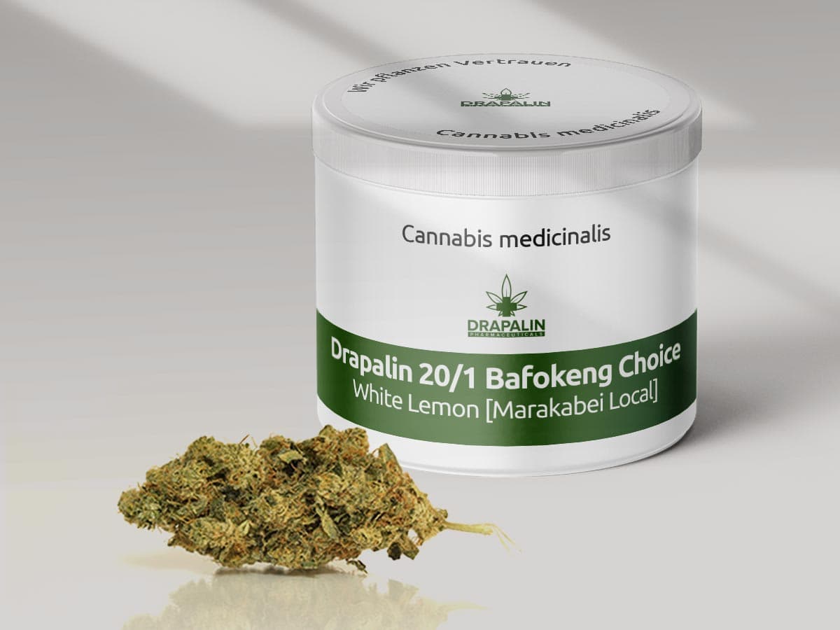 Drapalin 20/1 Bafokeng Choice