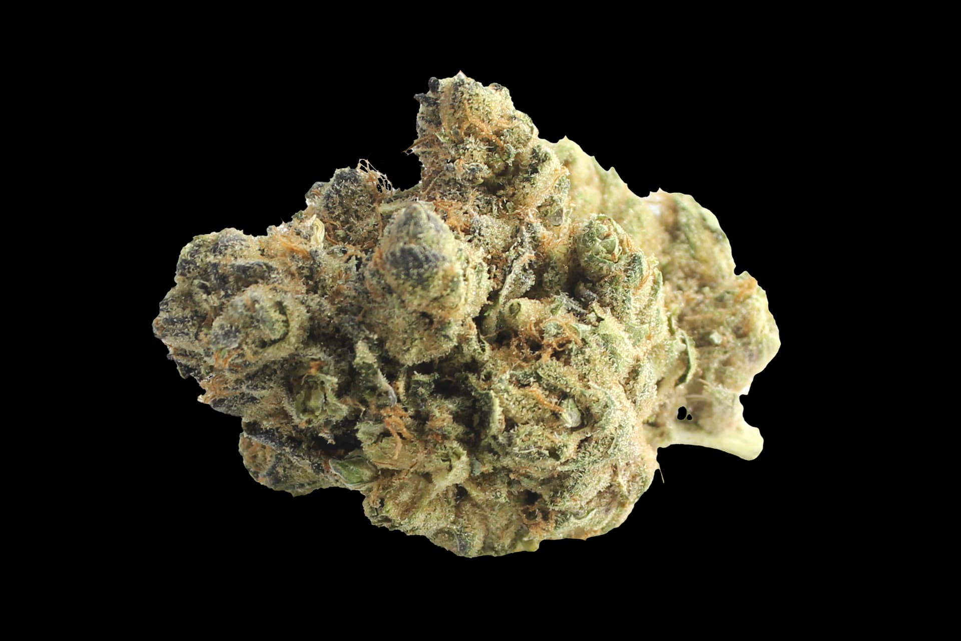 Grünhorn CPC 25/1: Cappuccino