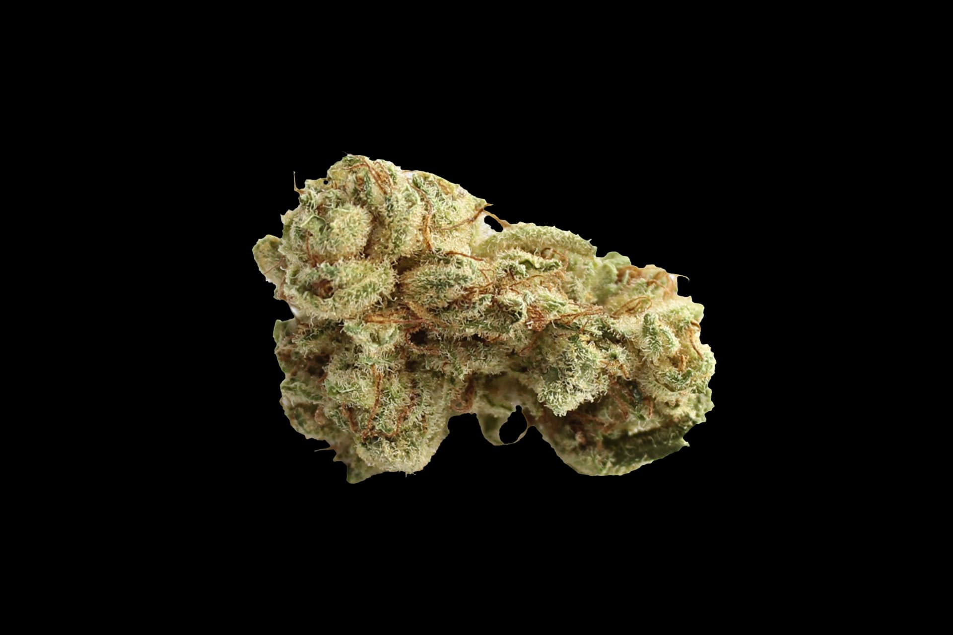 Tilray THC 18 Spotlight Porto: Lilac Diesel