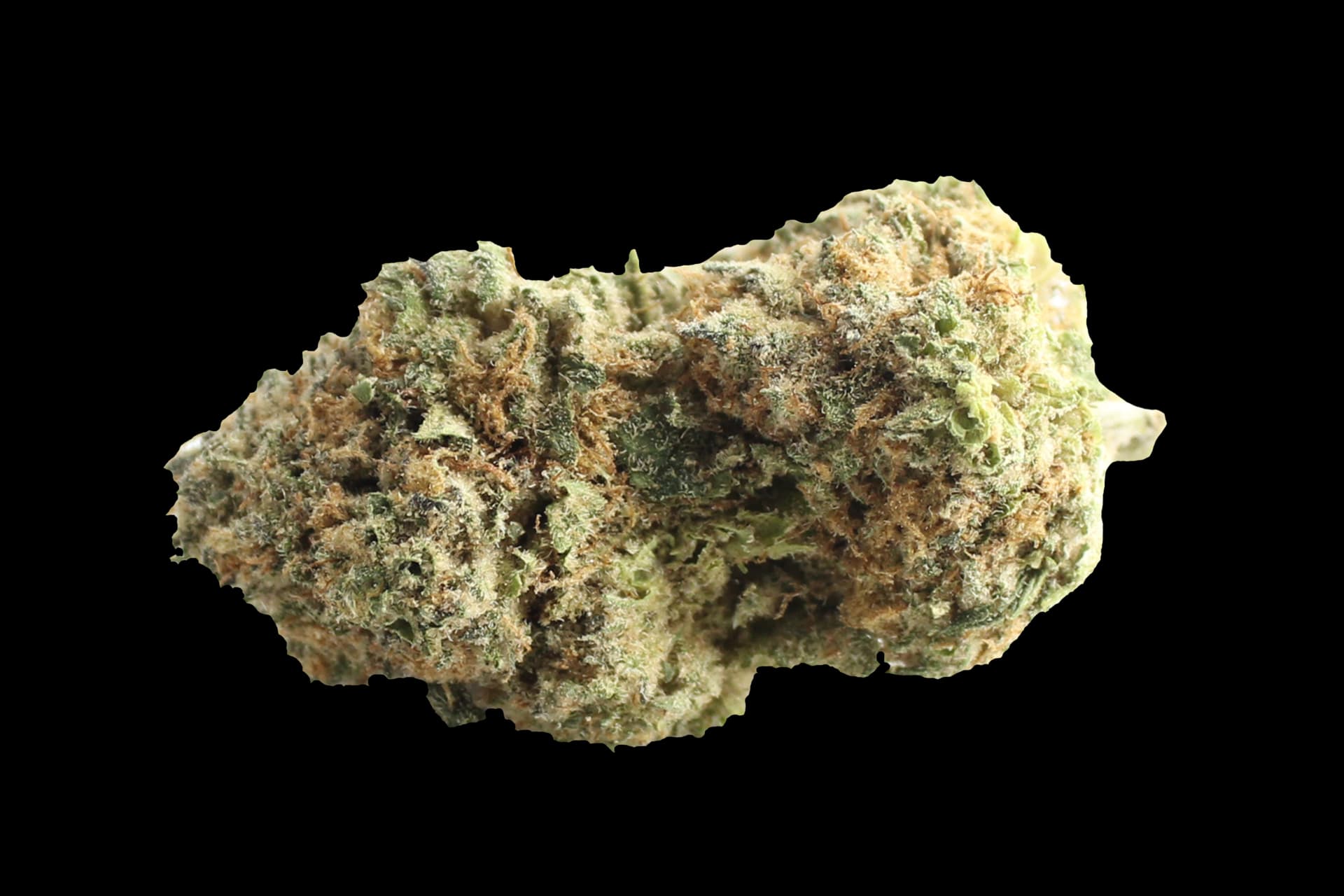 Pedanios 27/1 BLY-CA: Black Jelly