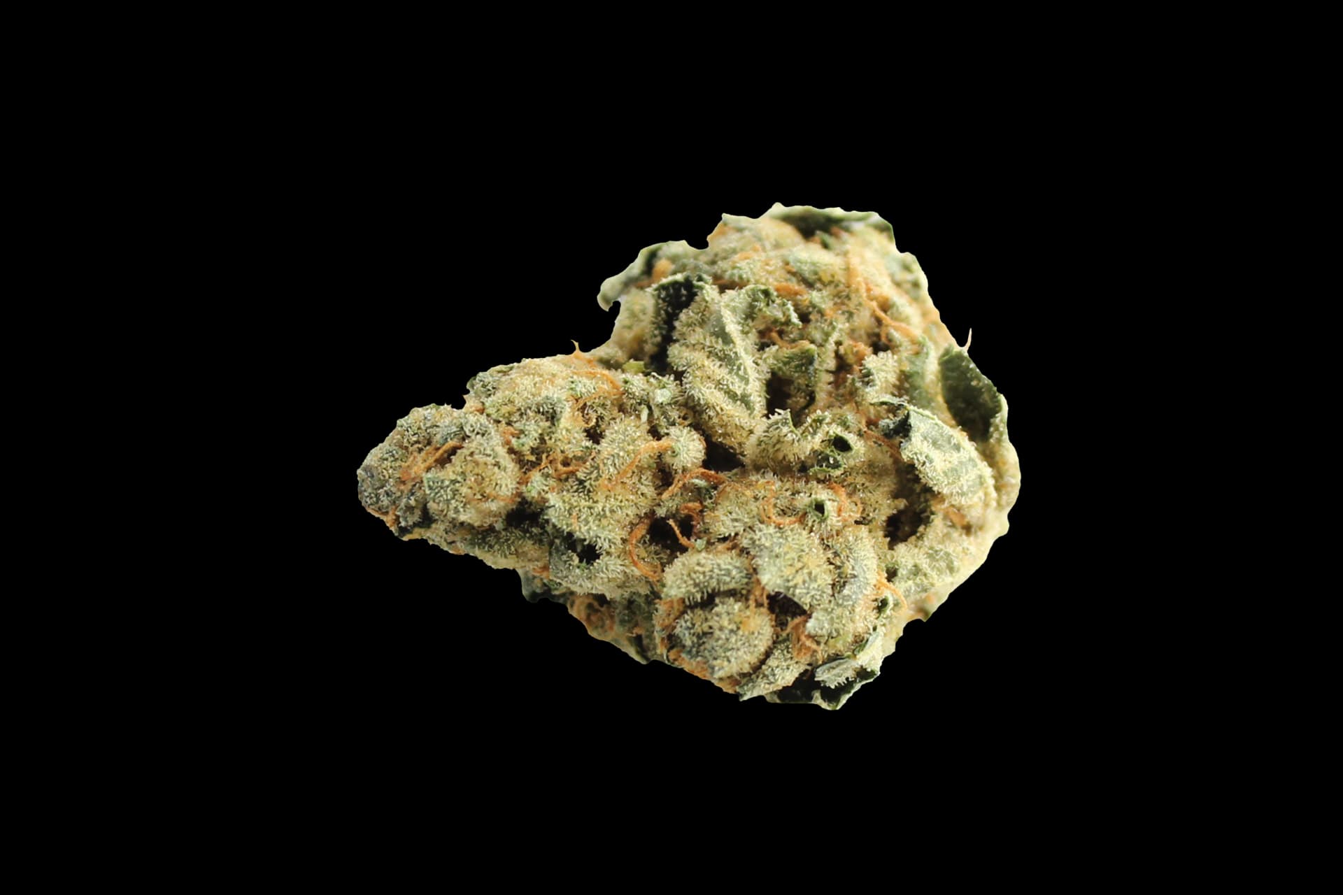 Huala 22/1 CA BTR: Black Triangle