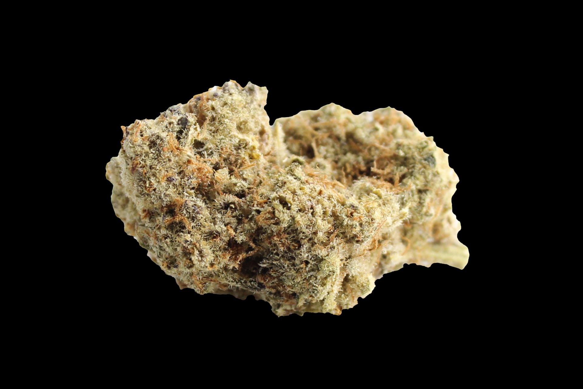 420 Evolution 27/1 CA MMI: Miracle Mints