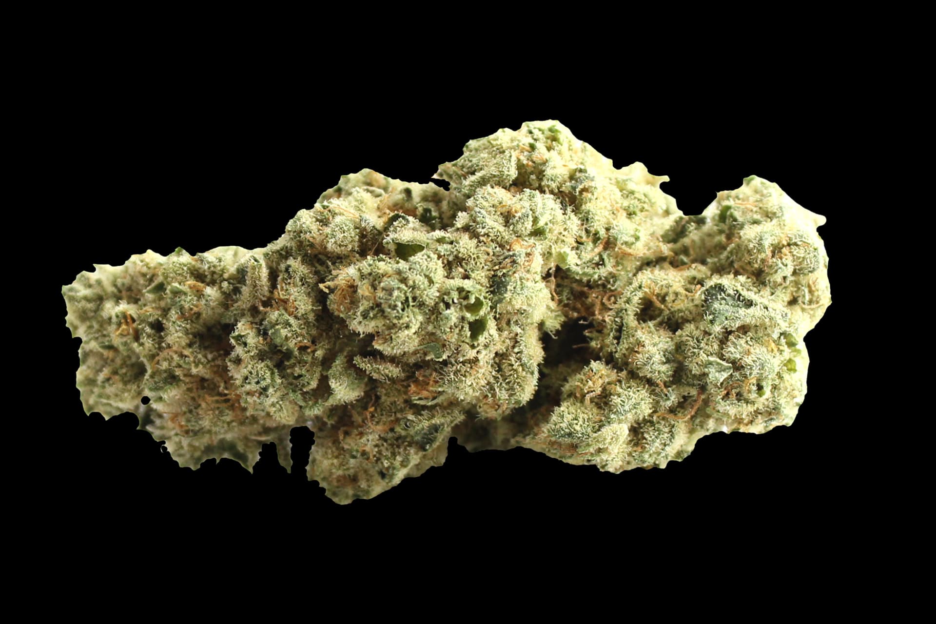 Demecan CRAFT T4N-G 25:01: Banjo