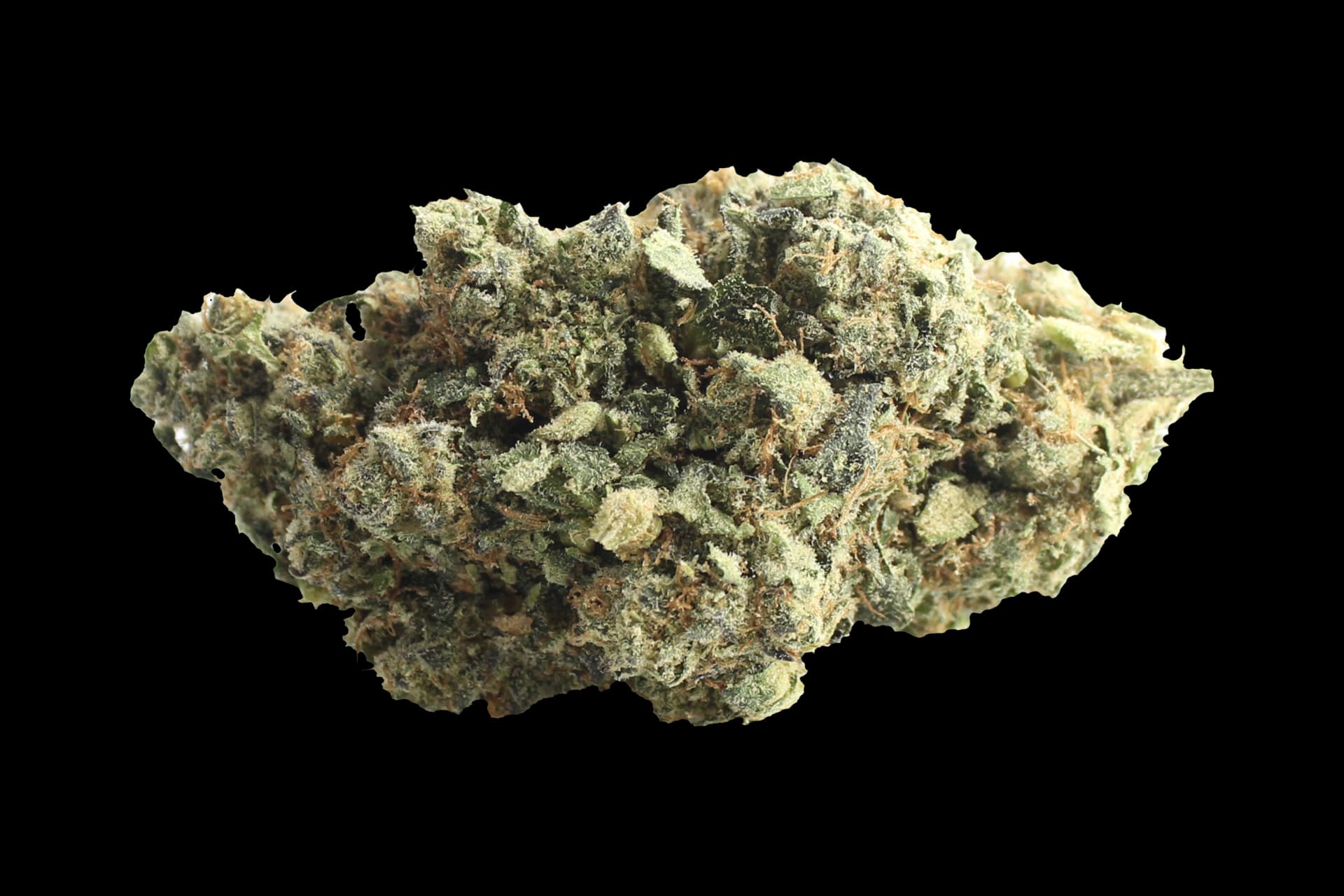 Bathera 28/1: Facetz