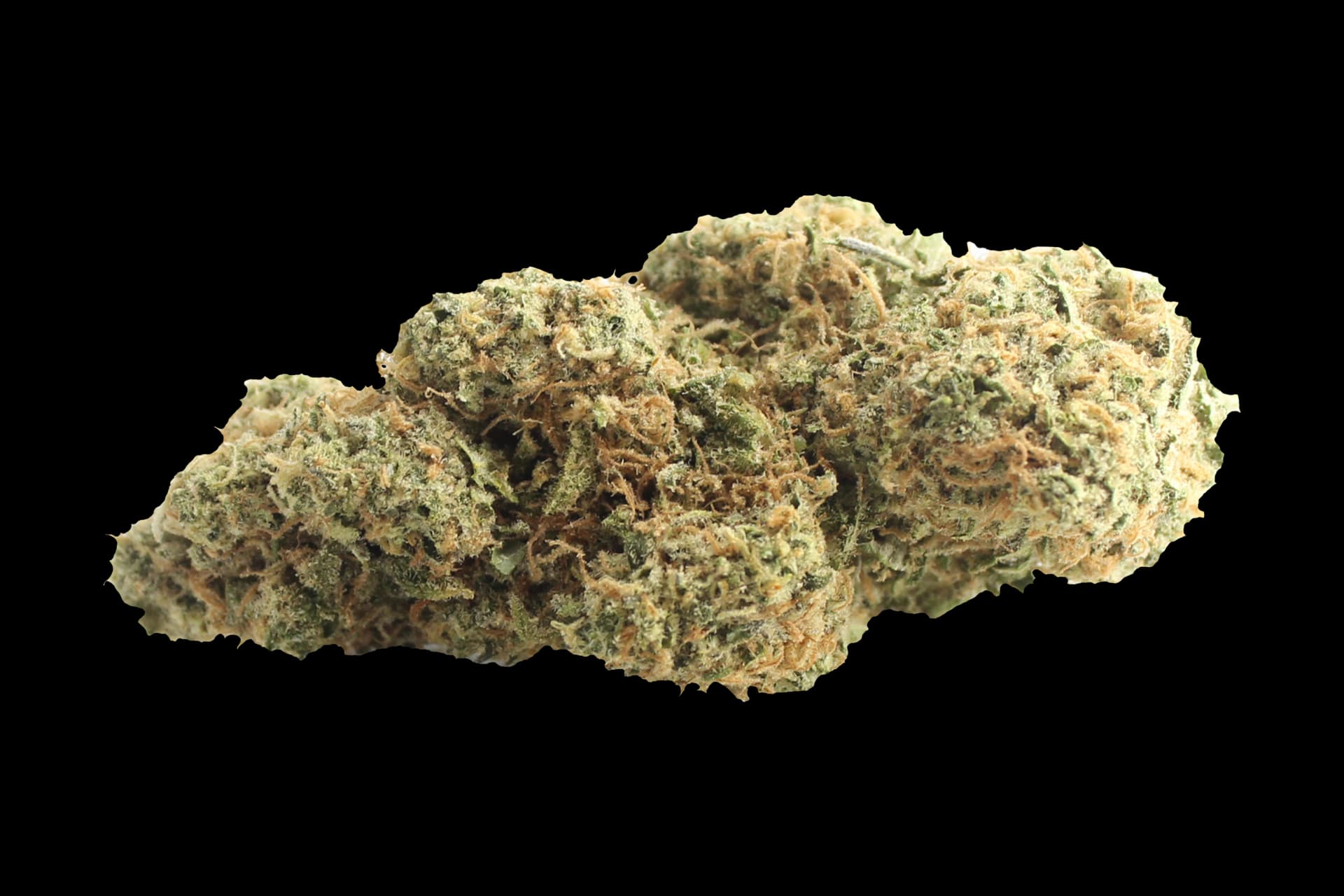 Cannamedical Sativa Forte NM: Gelato Dream