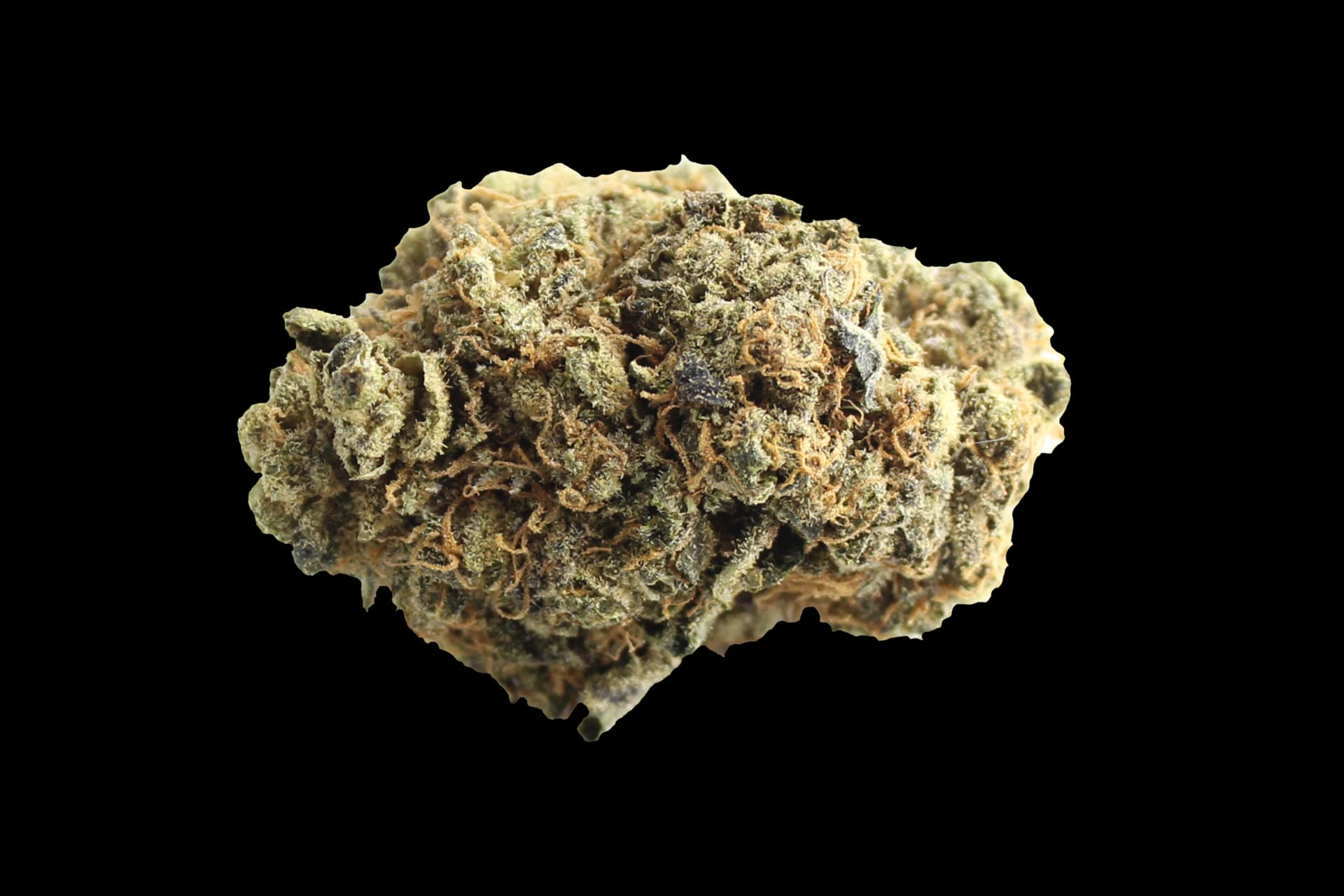 Huala 20/1 CA GRF: Grape Face