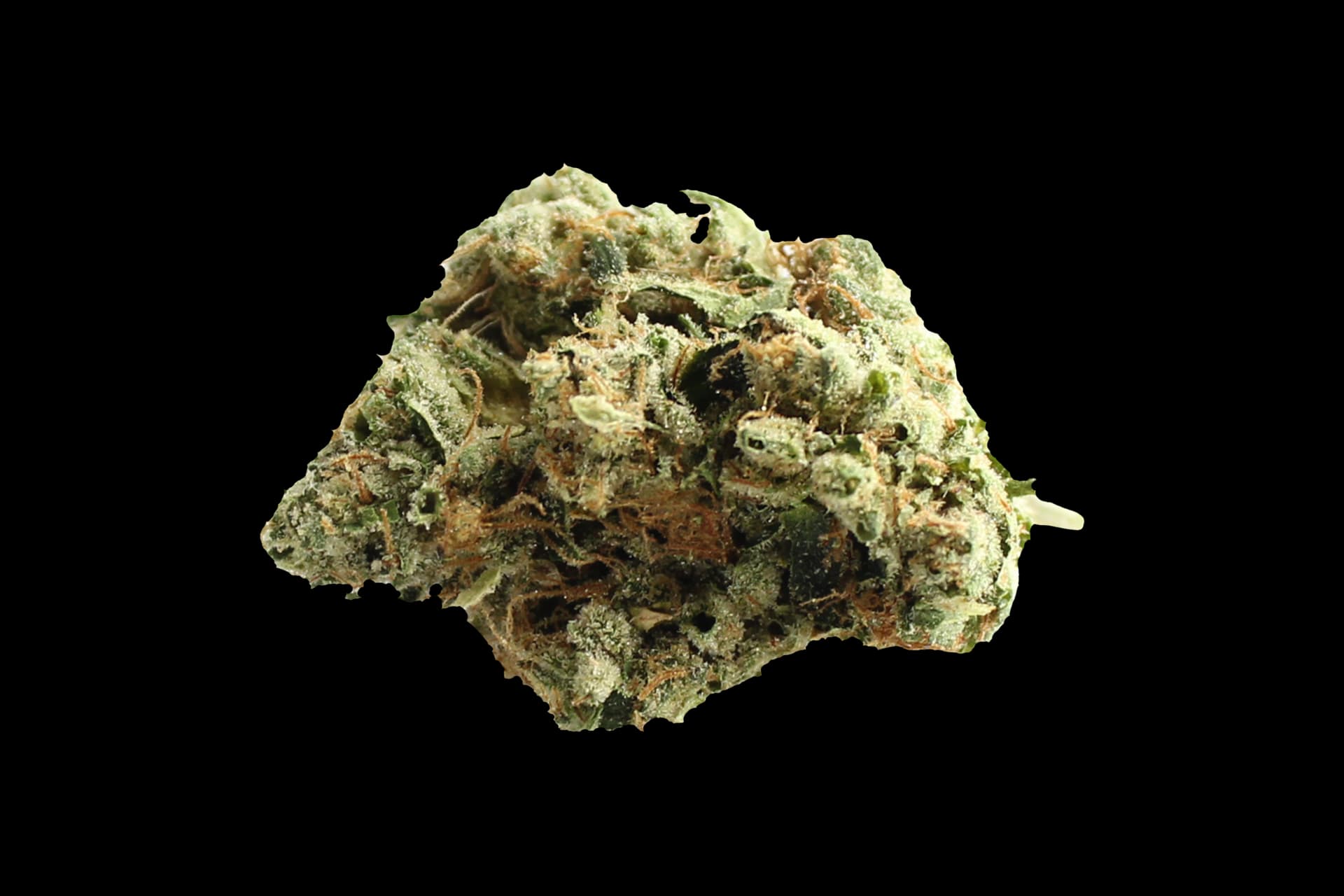 420 Evolution 25/1 CA BUL: Bucket List