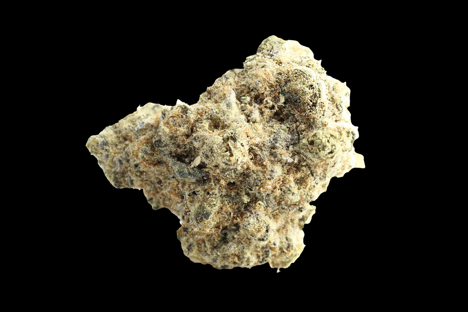 Soma OG 30/1 FG: Ghost OG