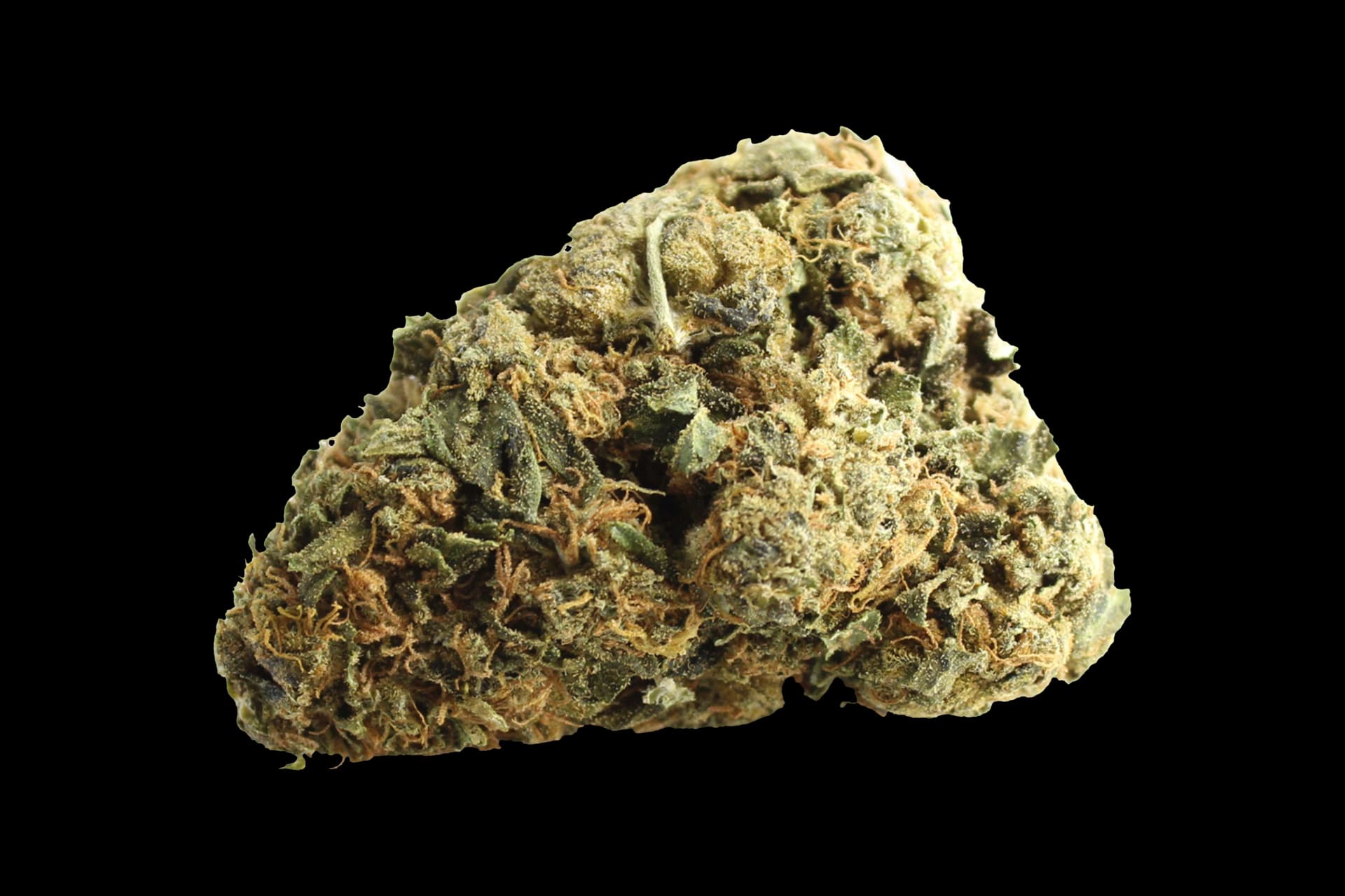 IMC Cannabisblüten THC 22 T01: Hindu Kush