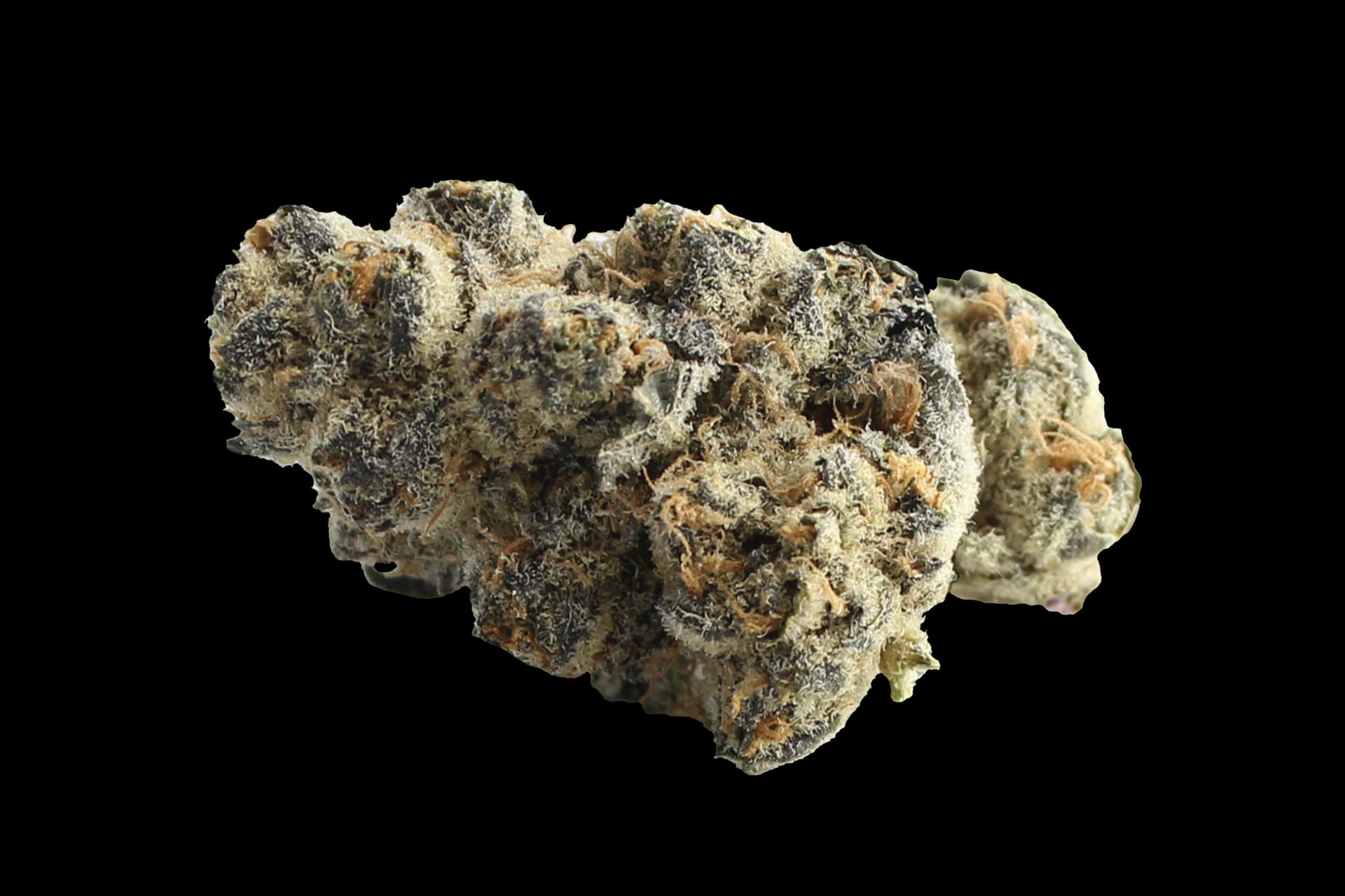 CanDoc canymed BC 28/1: Diesel Crisp