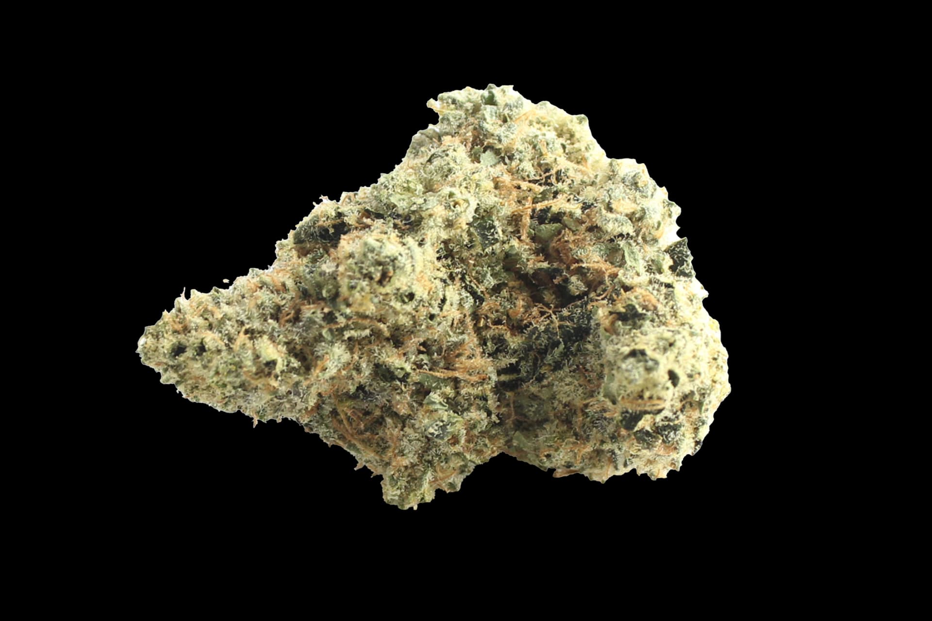 Bathera 28/1: Blue Z