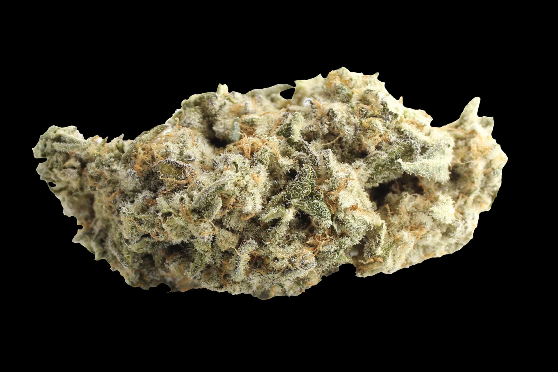 420 Evolution 22/1 CA MAC: MAC 1