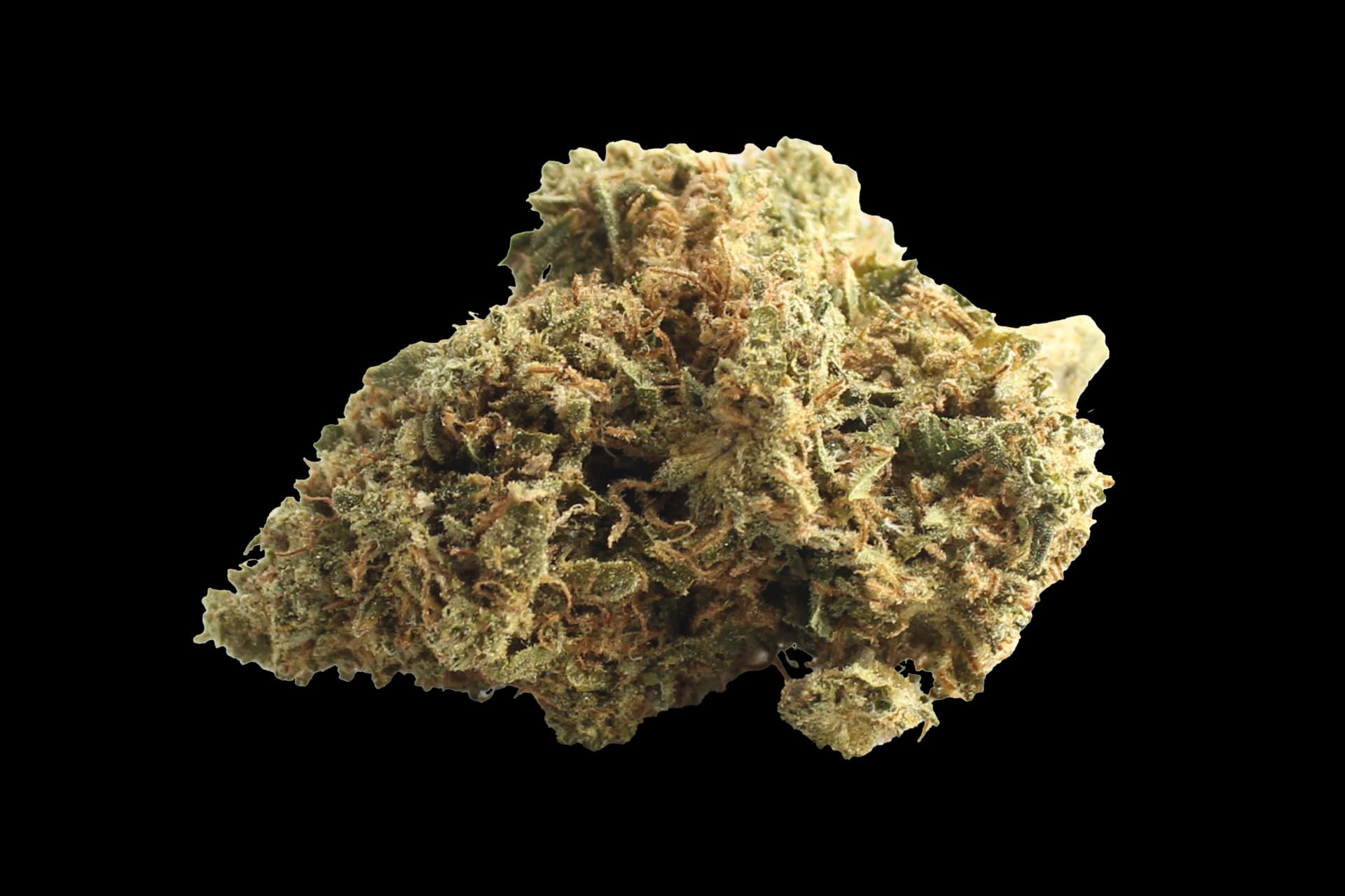 22/1 Vayamed Cannabis flos: Ghost Train Haze