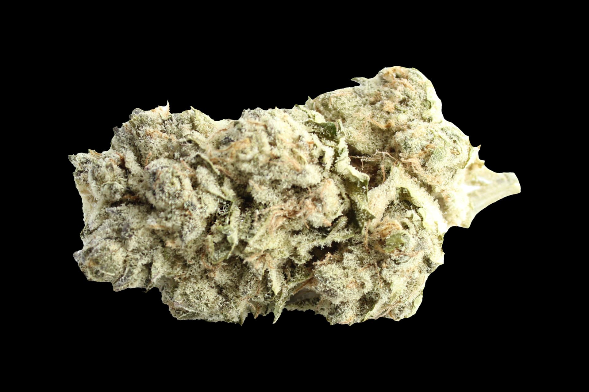 enua 22/1 BCP CA: Black Cherry Punch