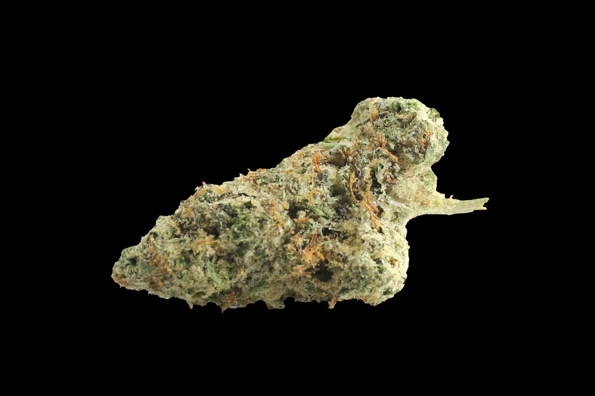 420 Evolution 30/1 CA ICC: Ice Cream Cake Kush Mints