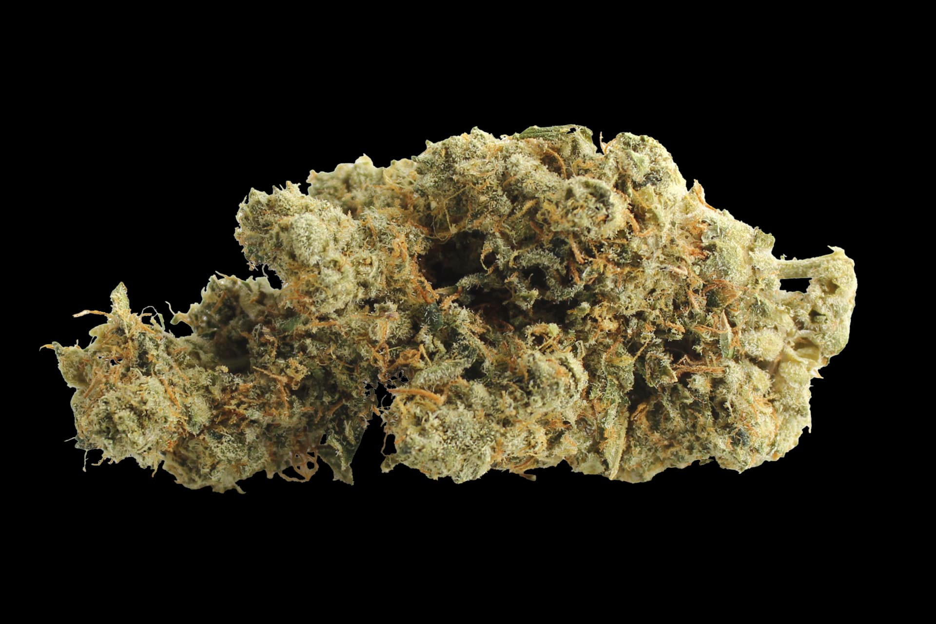 420 Evolution 27/1 CA ICC: Ice Cream Cake X Kushmints