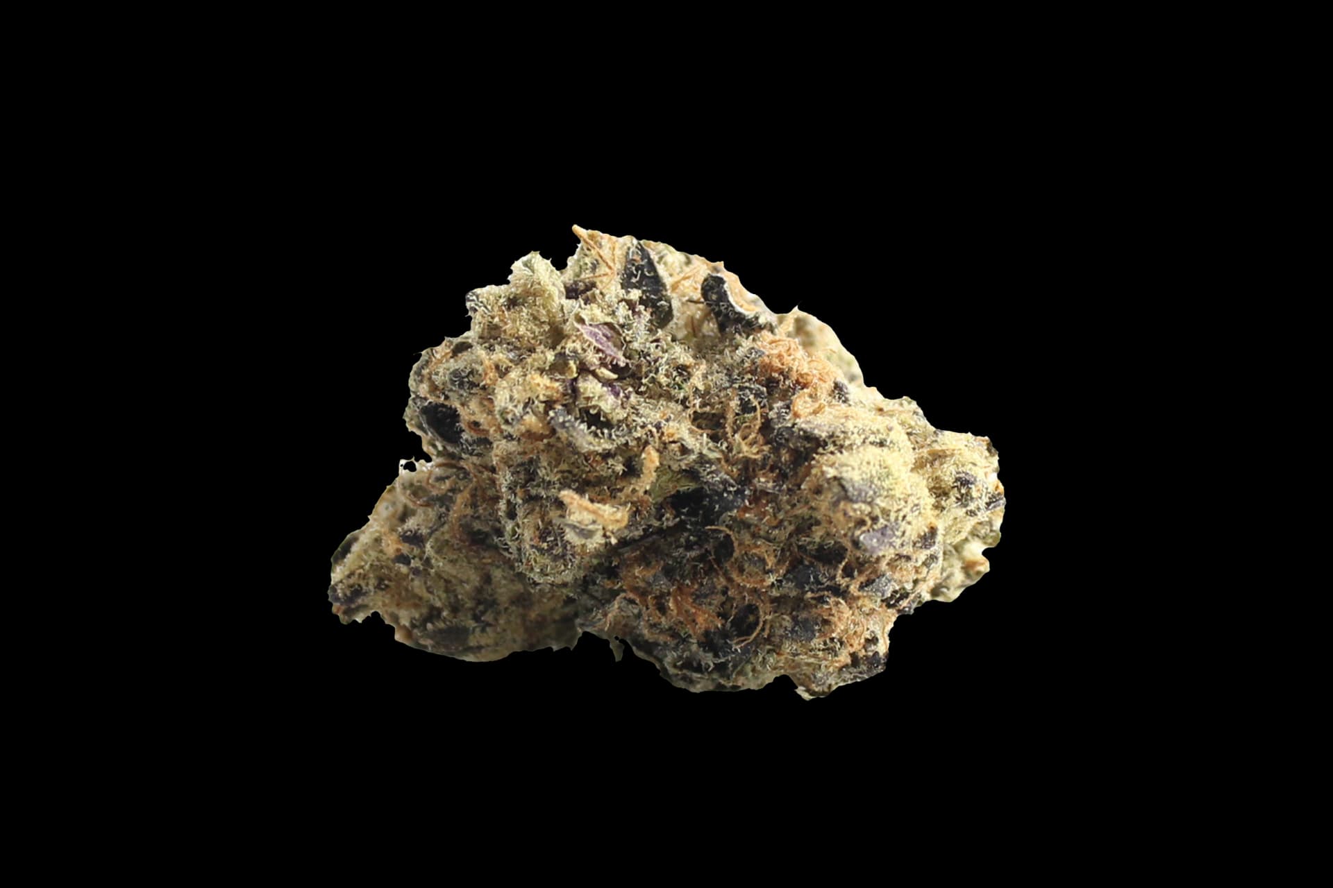 Cannabis flos 23/1 CND Pink Kush Canify