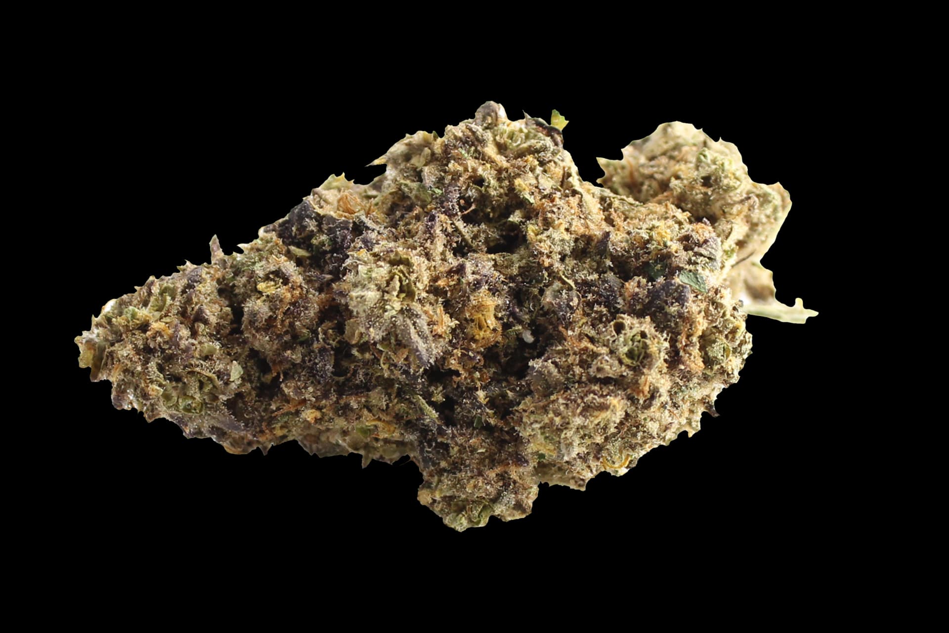 420 Evolution 25/1 CA FLM: Frozen Lemon Mints