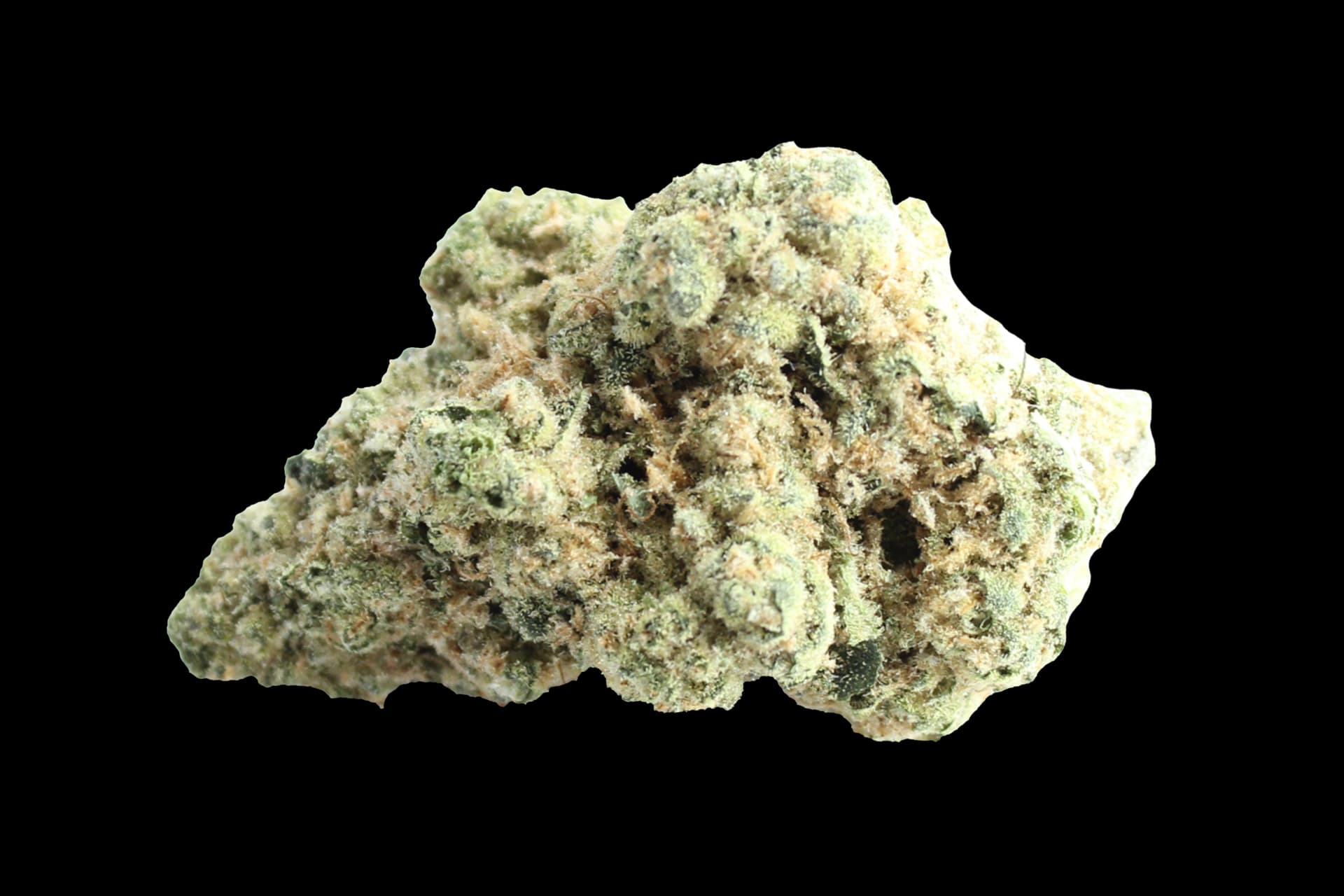 Pedanios 31/1 COS-CA: Cosmic Cream