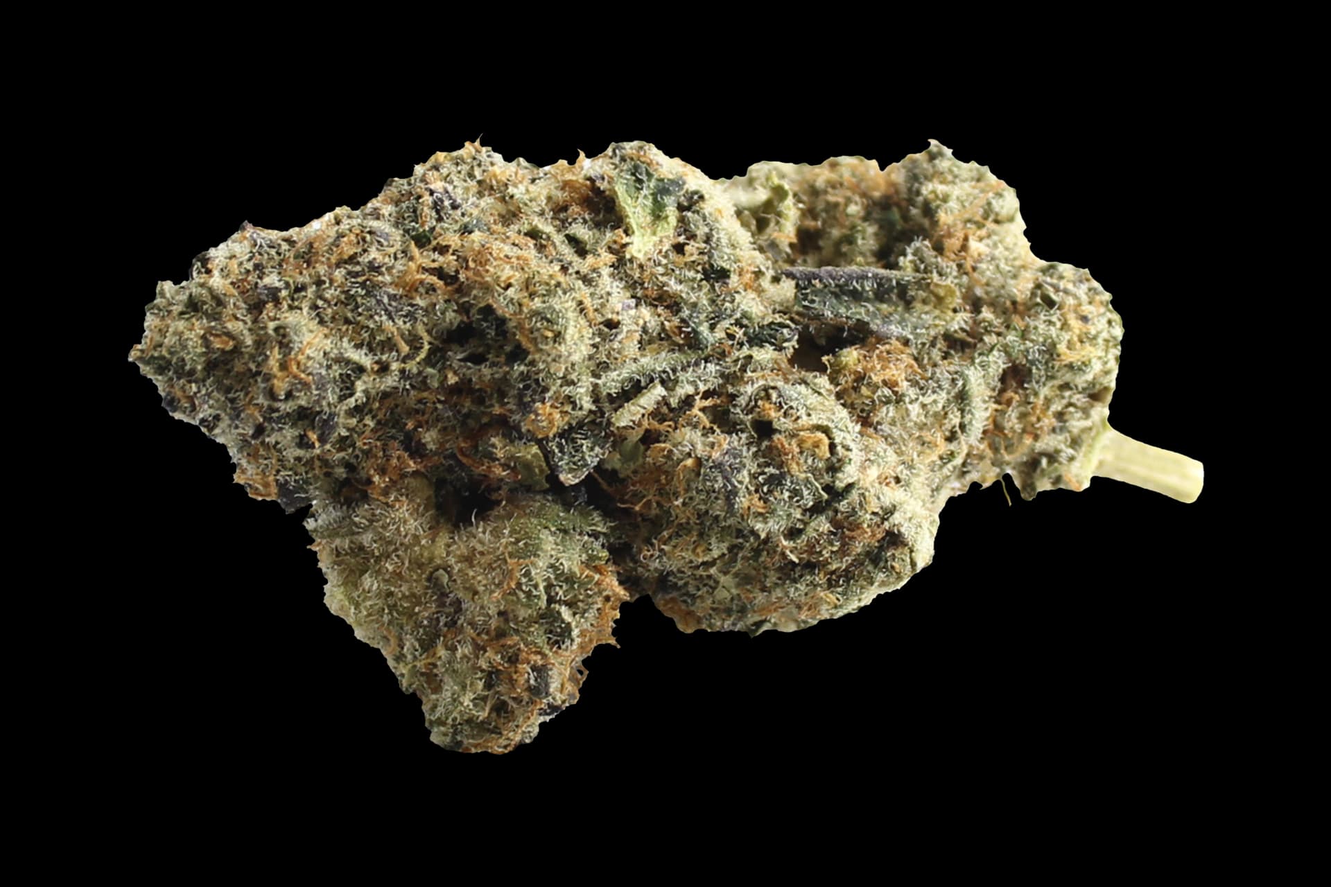 420 Evolution 25/1 CA WES: Wedding Singer