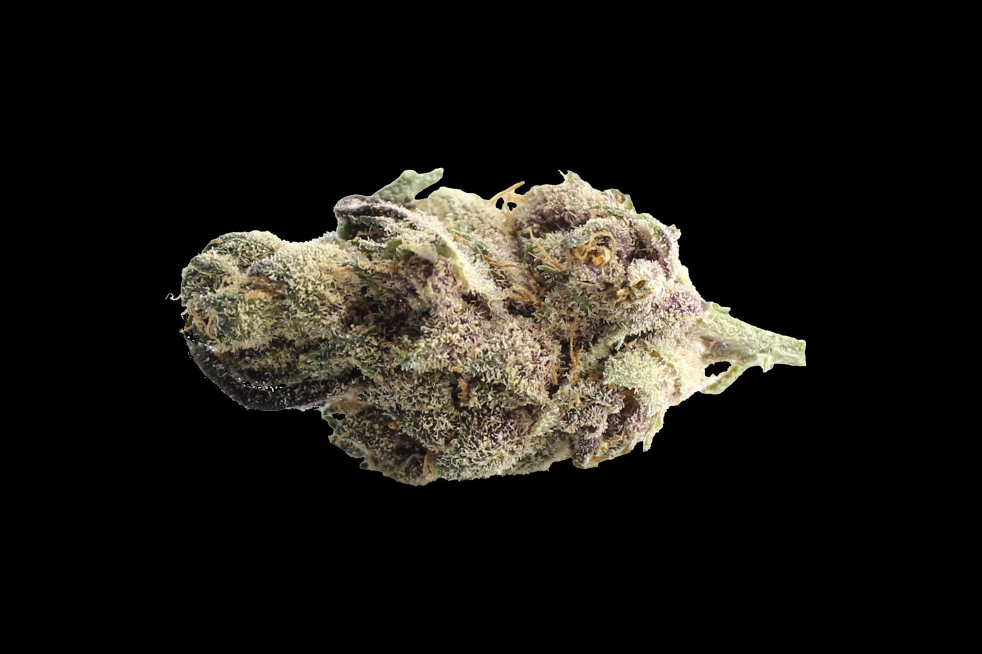 420 Natural 19/1 CA TRP: Tropicana Cookies