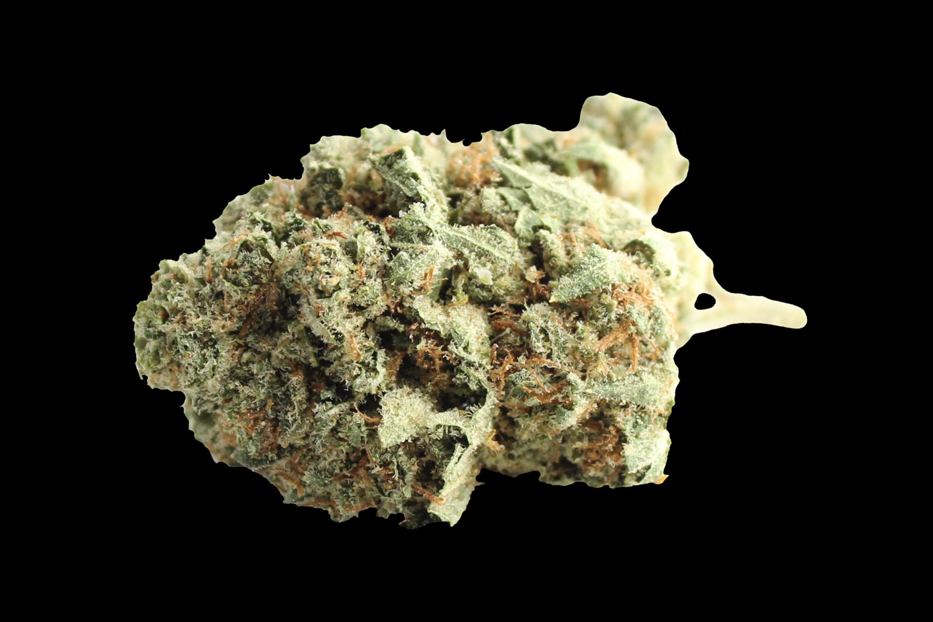 Huala 20/1 CA ALM: Alien Mints