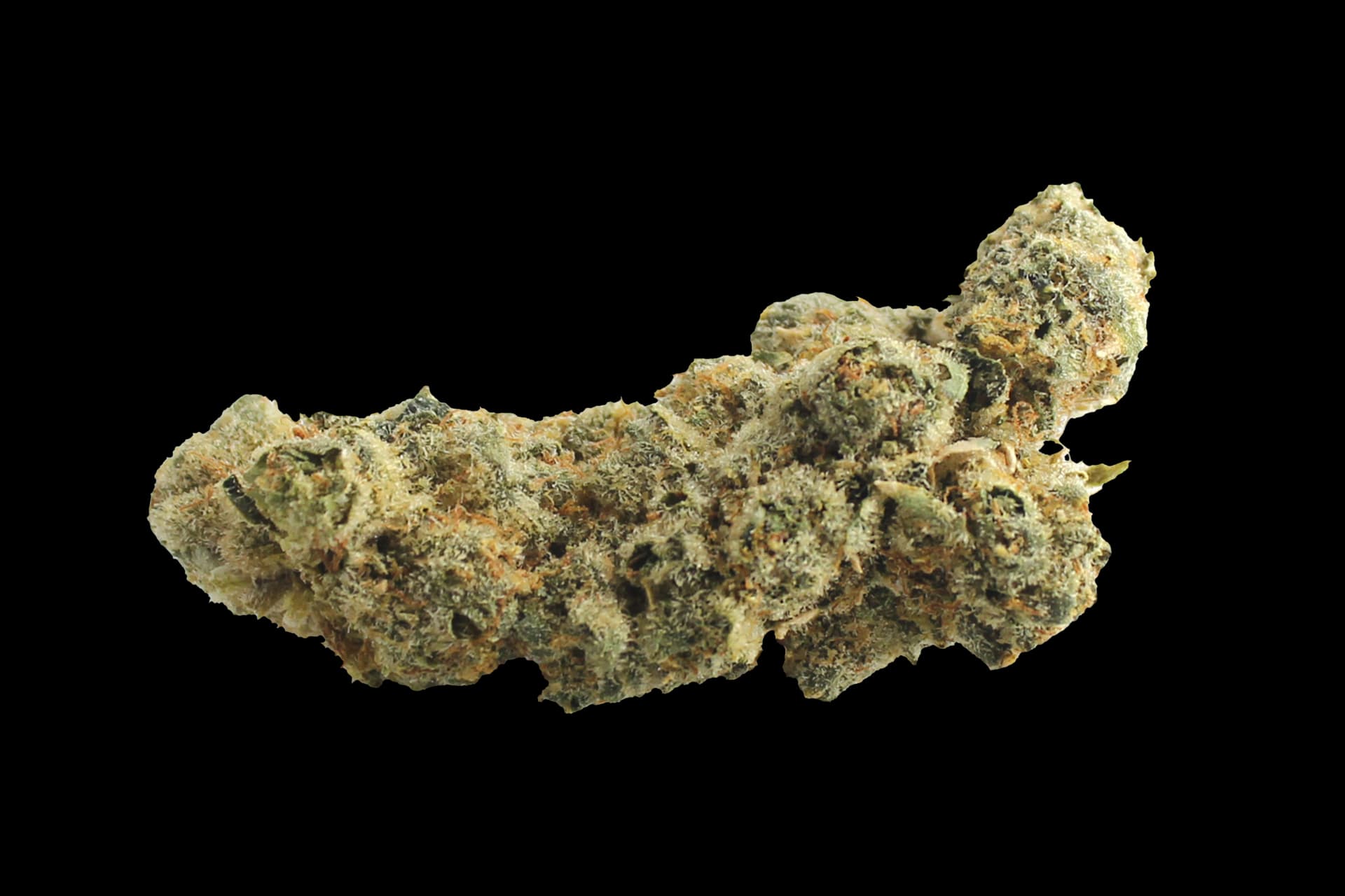 420 Evolution 36/1 CA PCH: Peach Chementine