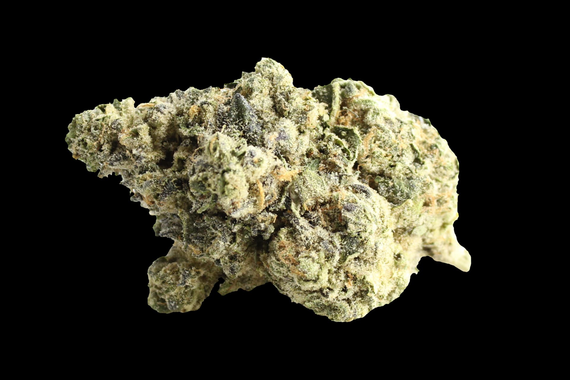 Avaay 32/1 AHC: Amnesia Haze Cake