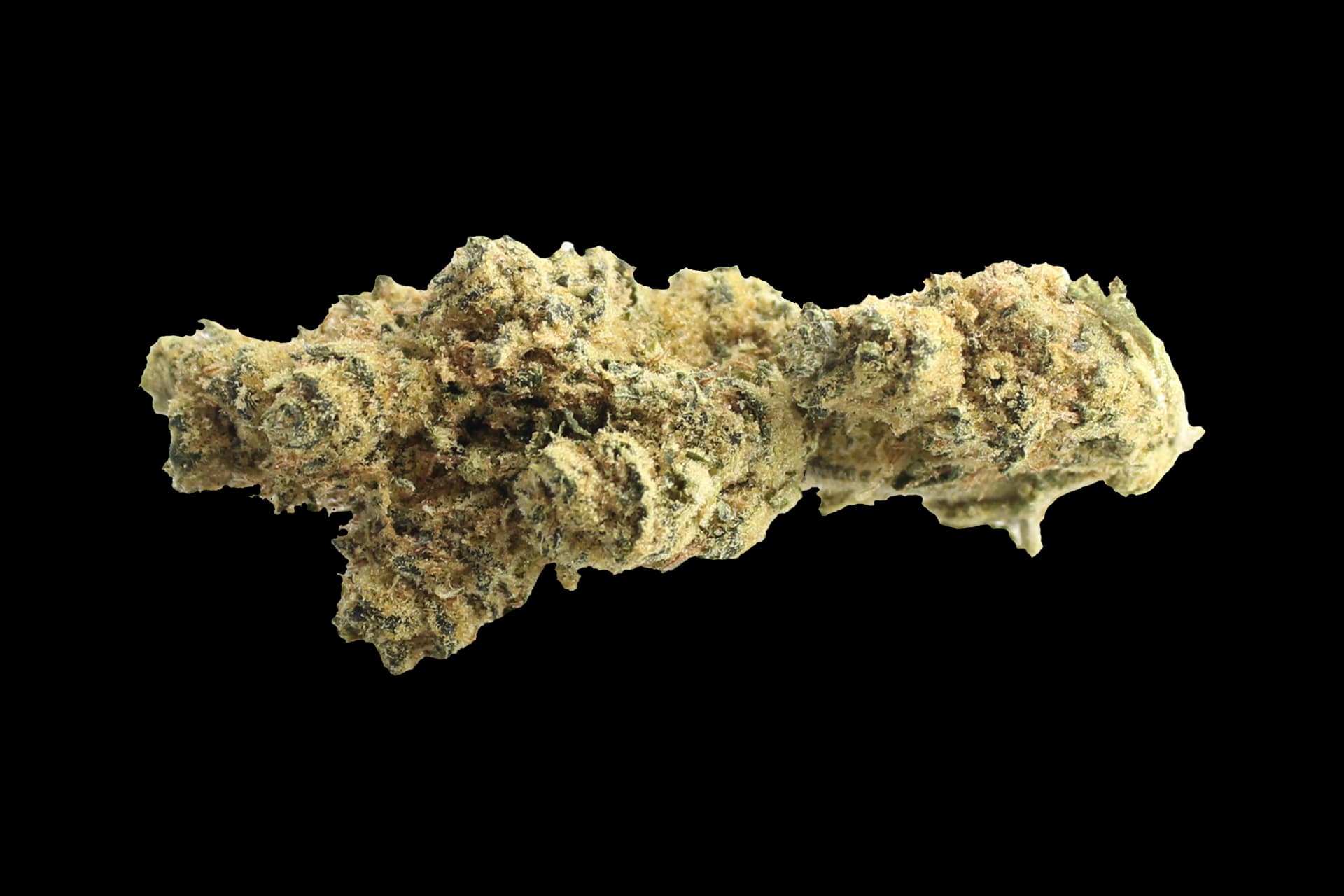 Peace Naturals 31/1 GC: Garlic-Mushroom-Onion Cookies