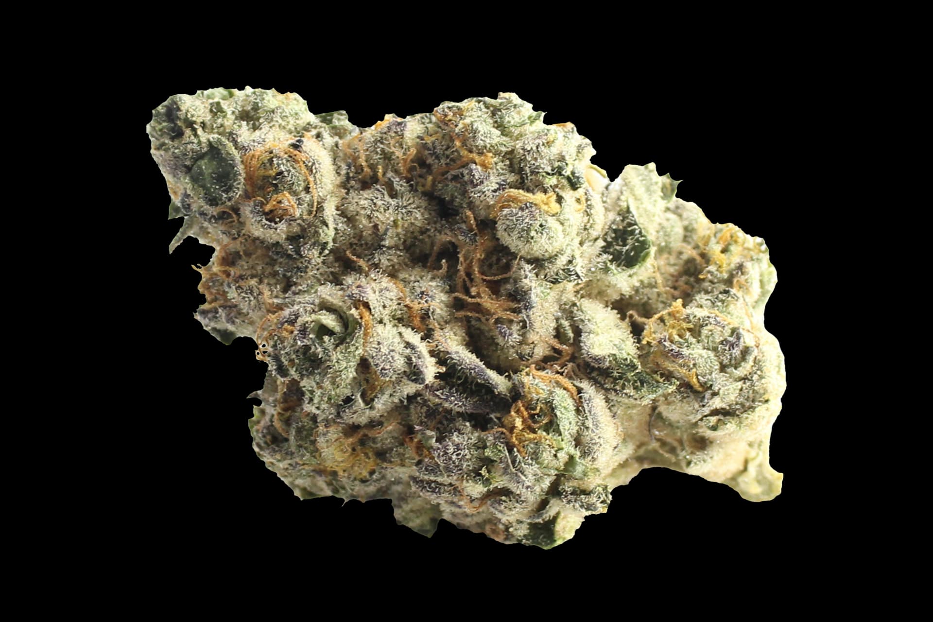 Demecan Core Saxonia 28:01: Wedding Cake X Jet Fuel Gelato