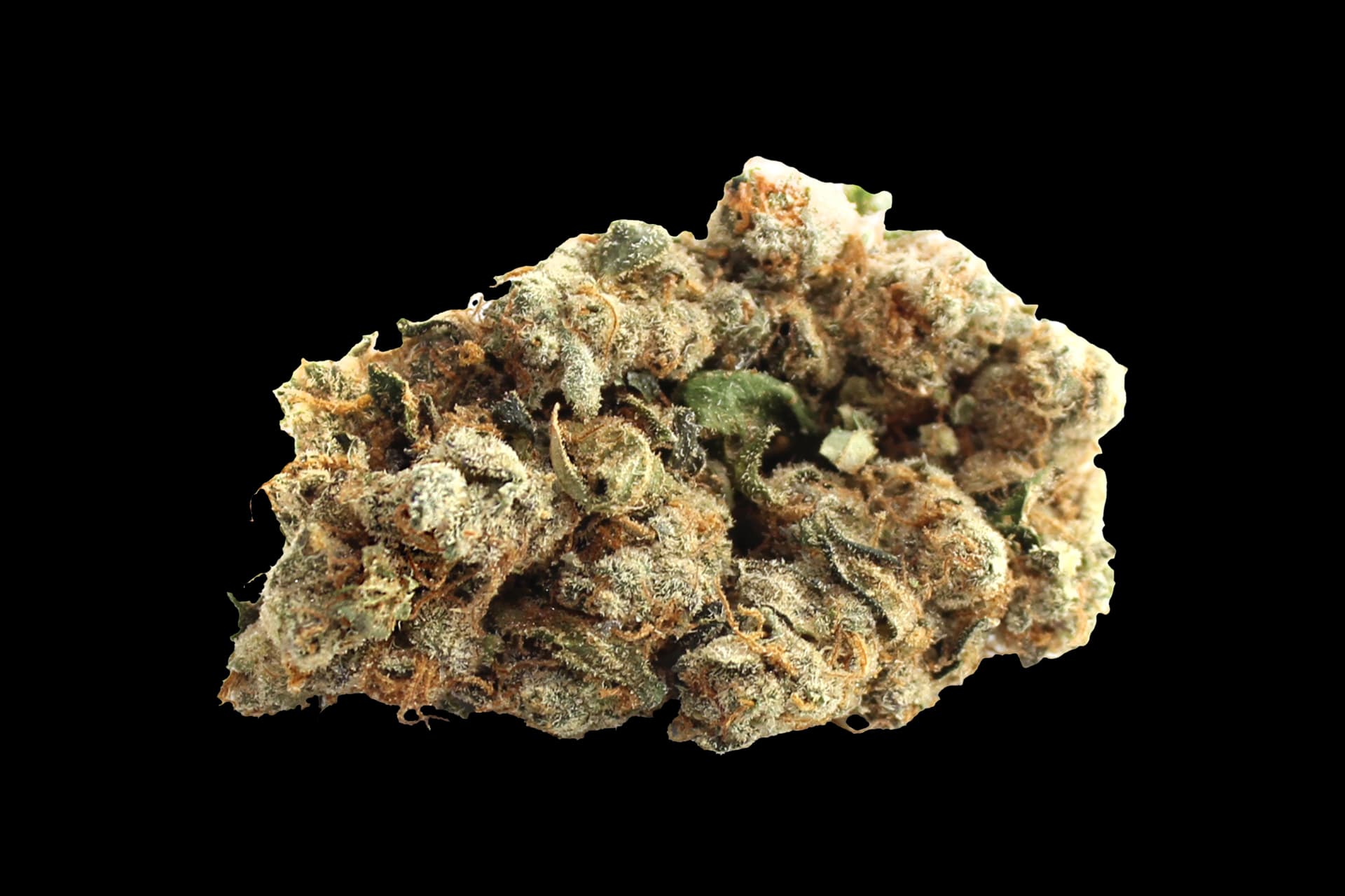 CM 29/1 SPC: Space Cake