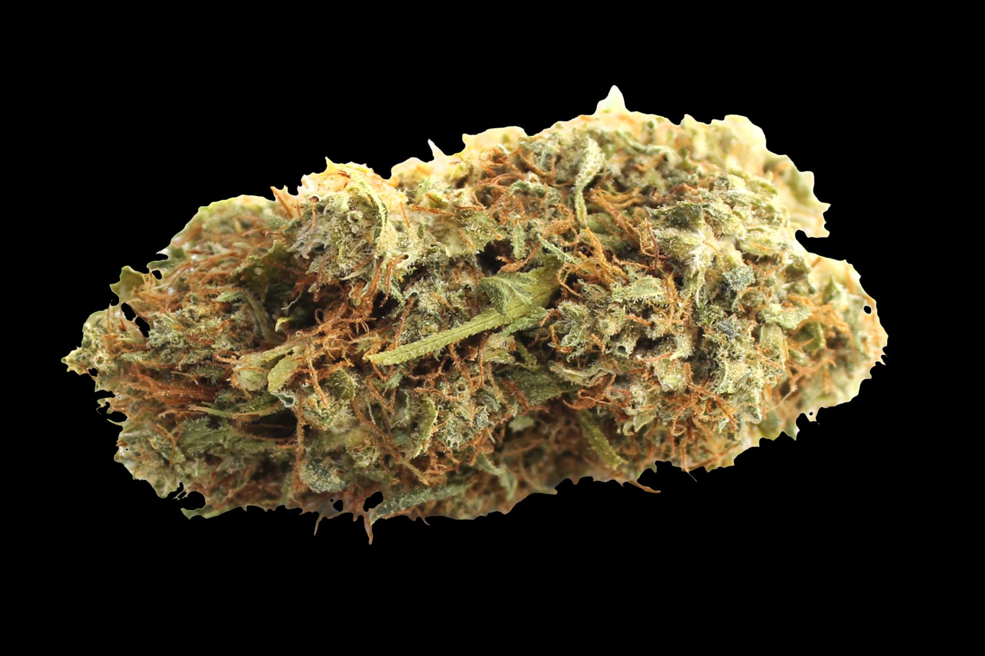 Pedanios 10/10 EQI-CA: Equiposa