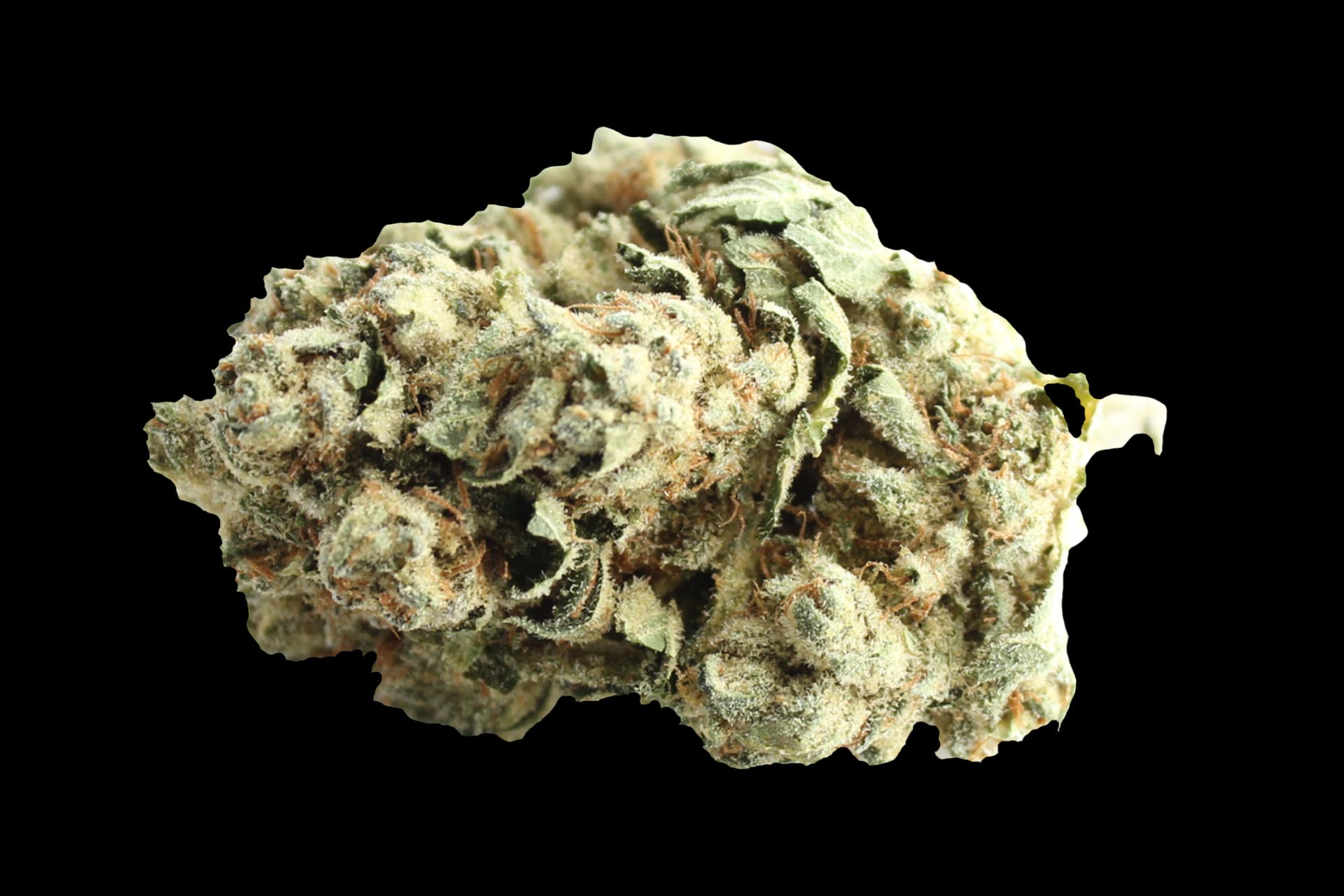 enua 20/1 JFG CA: Jet Fuel Gelato